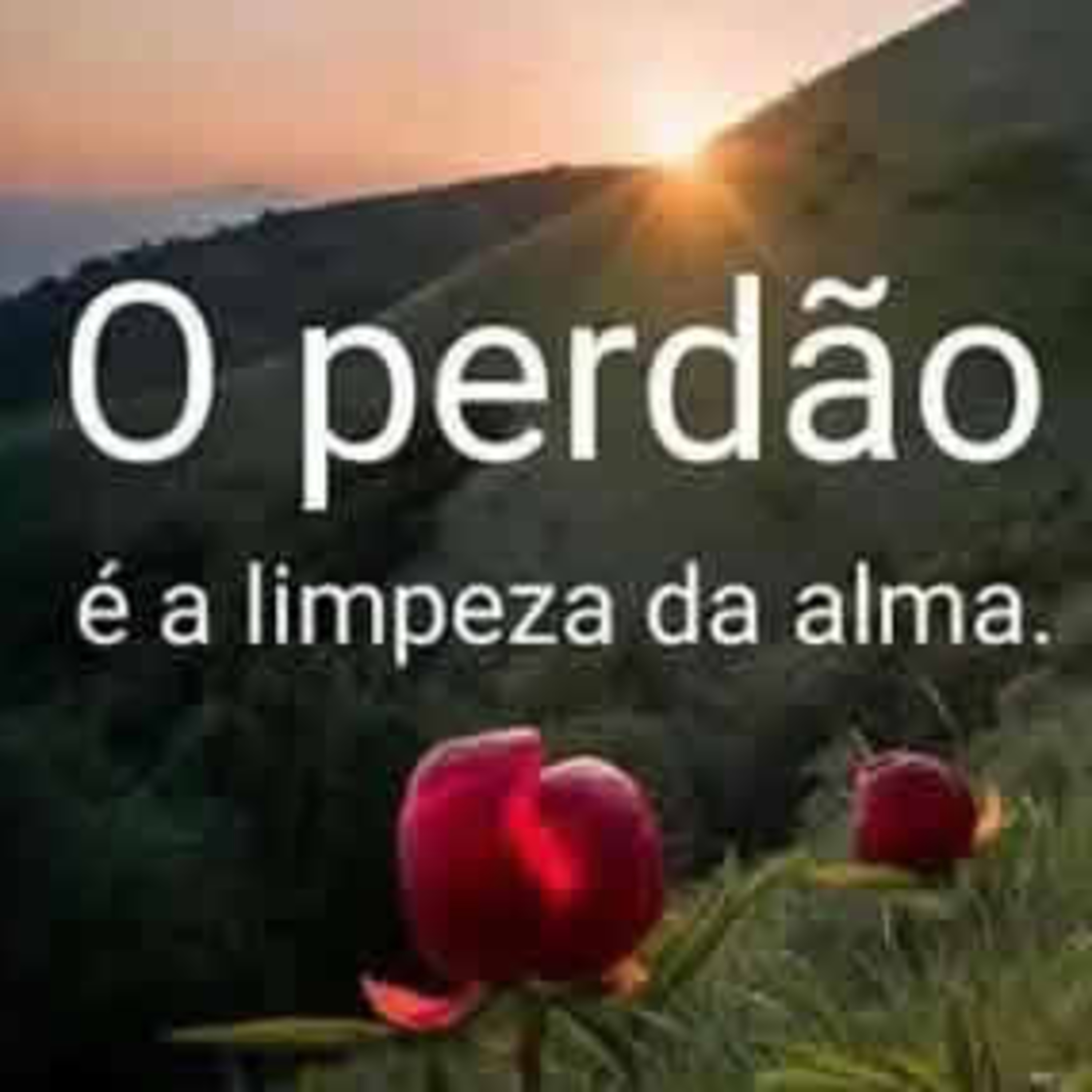PALAVRAS DE AMOR