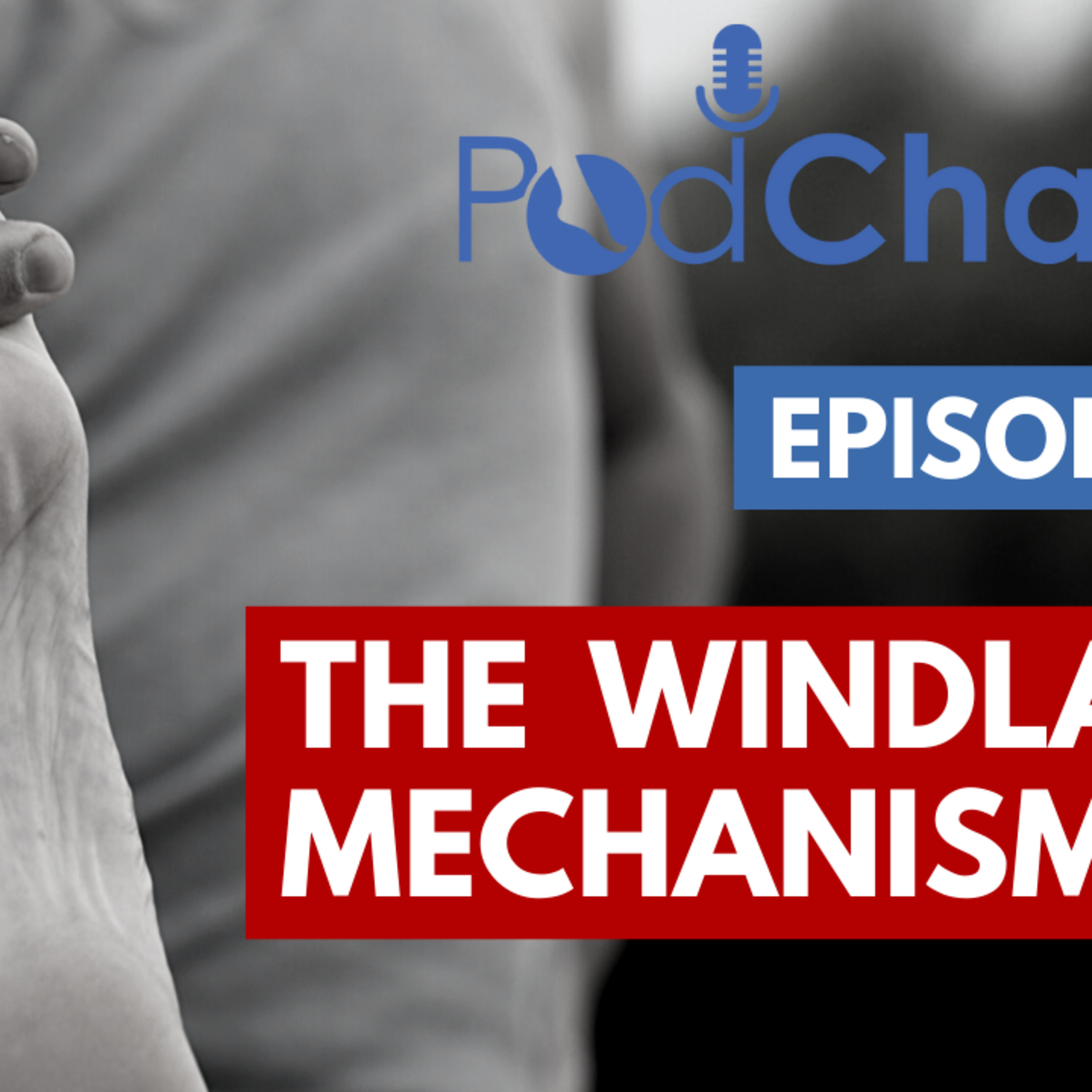 Episode 95 with Lauren Welte [Windlass Mechanism]