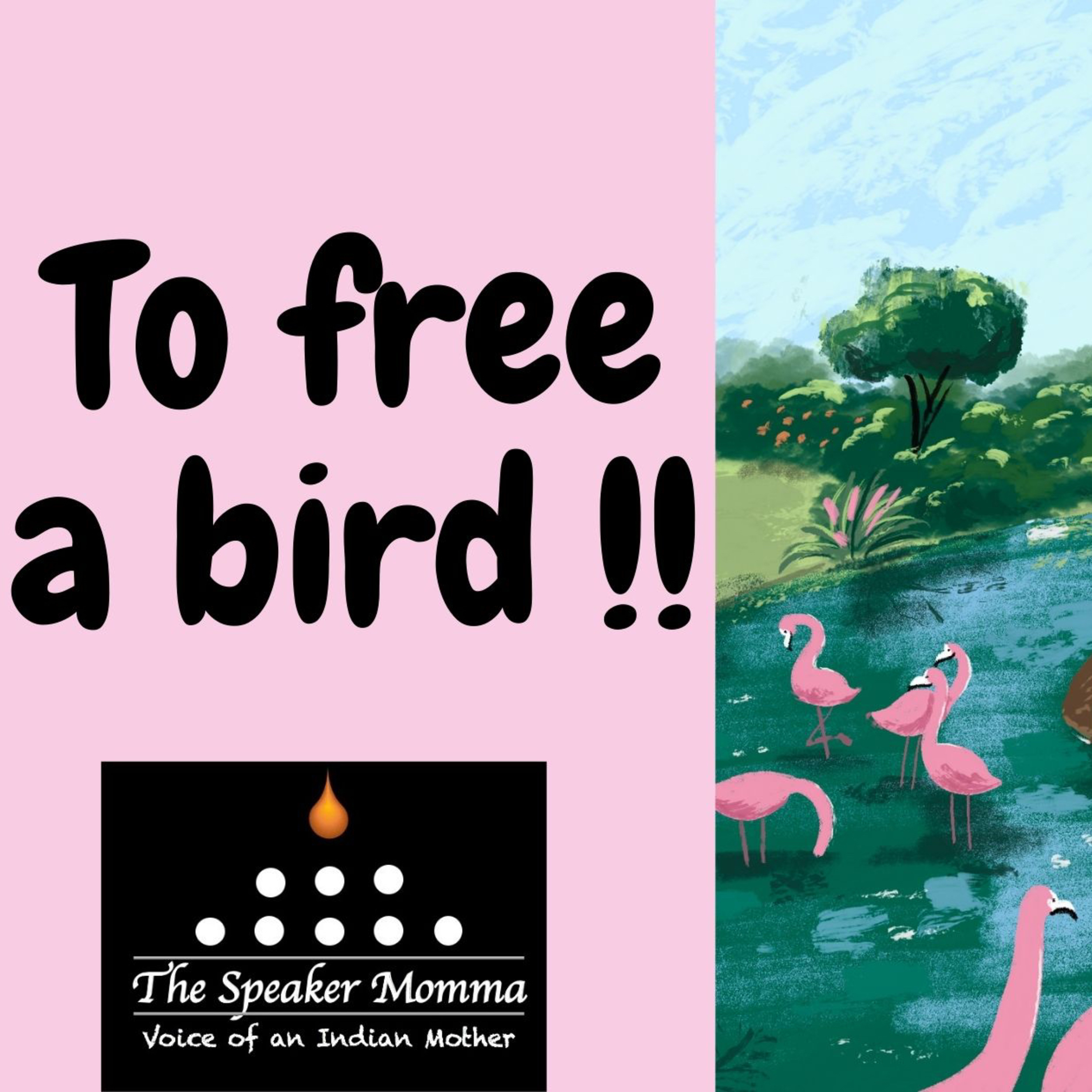 To free a bird episode artwork