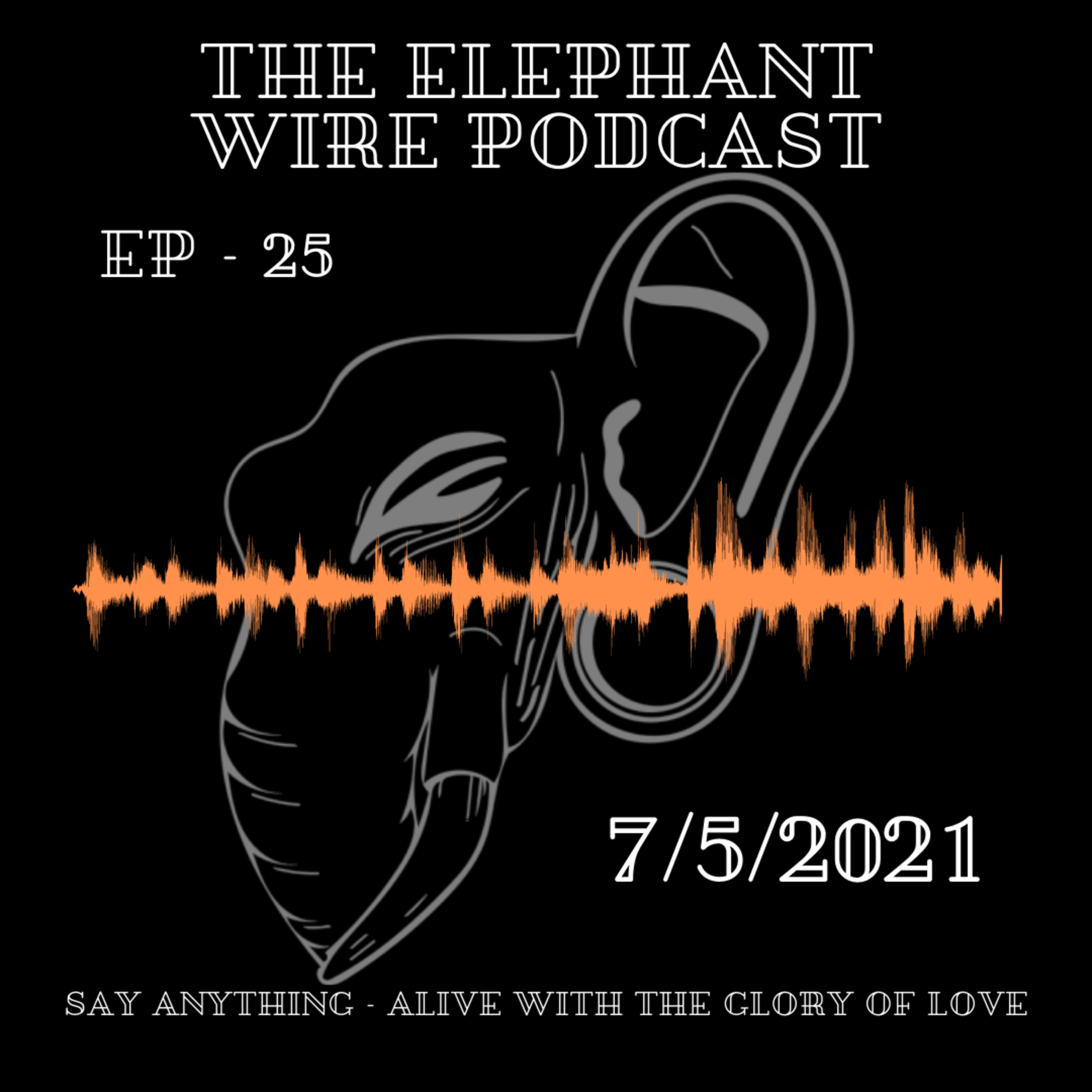 The Elephant Wire