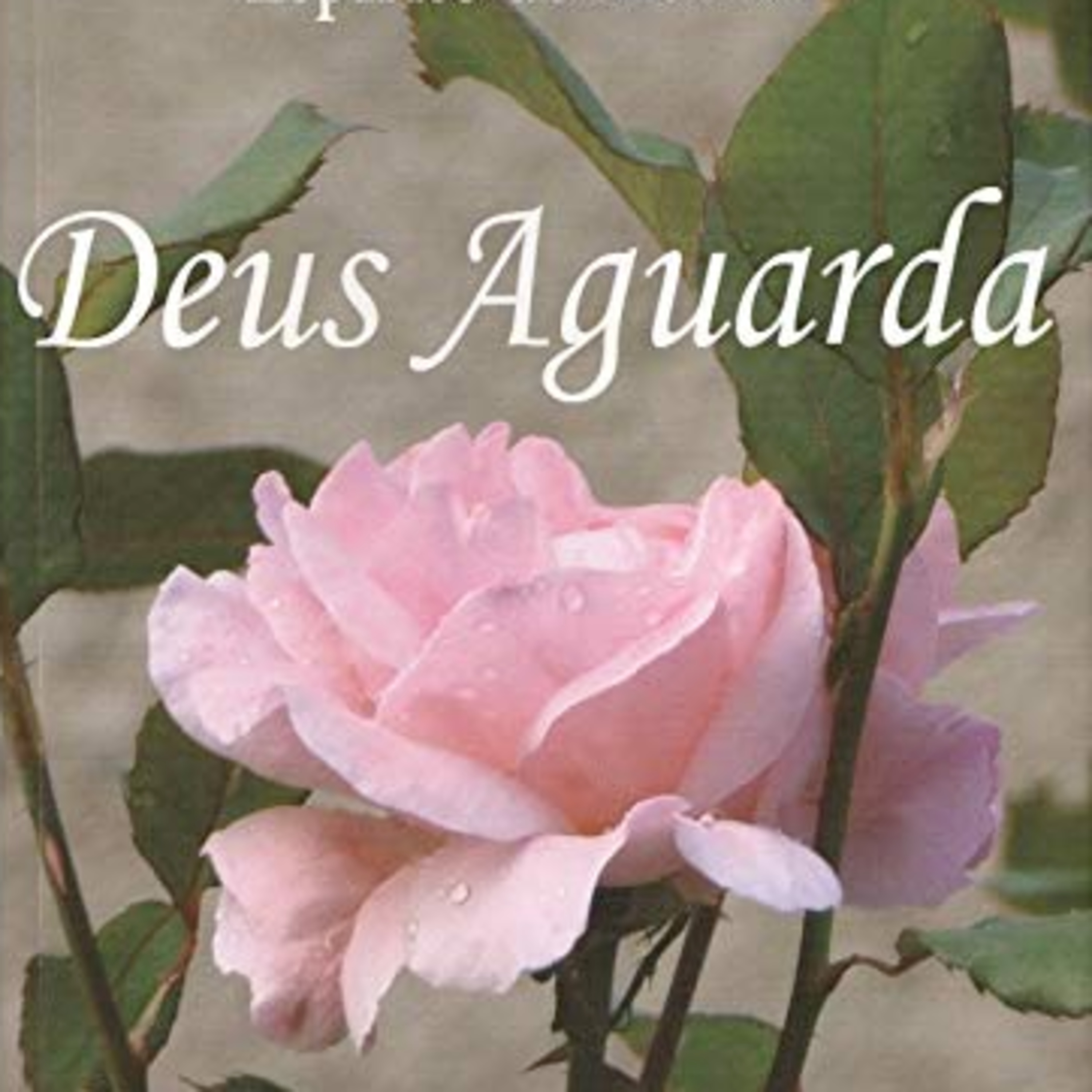 Deus Aguarda - 19 - Deus é Amor episode artwork