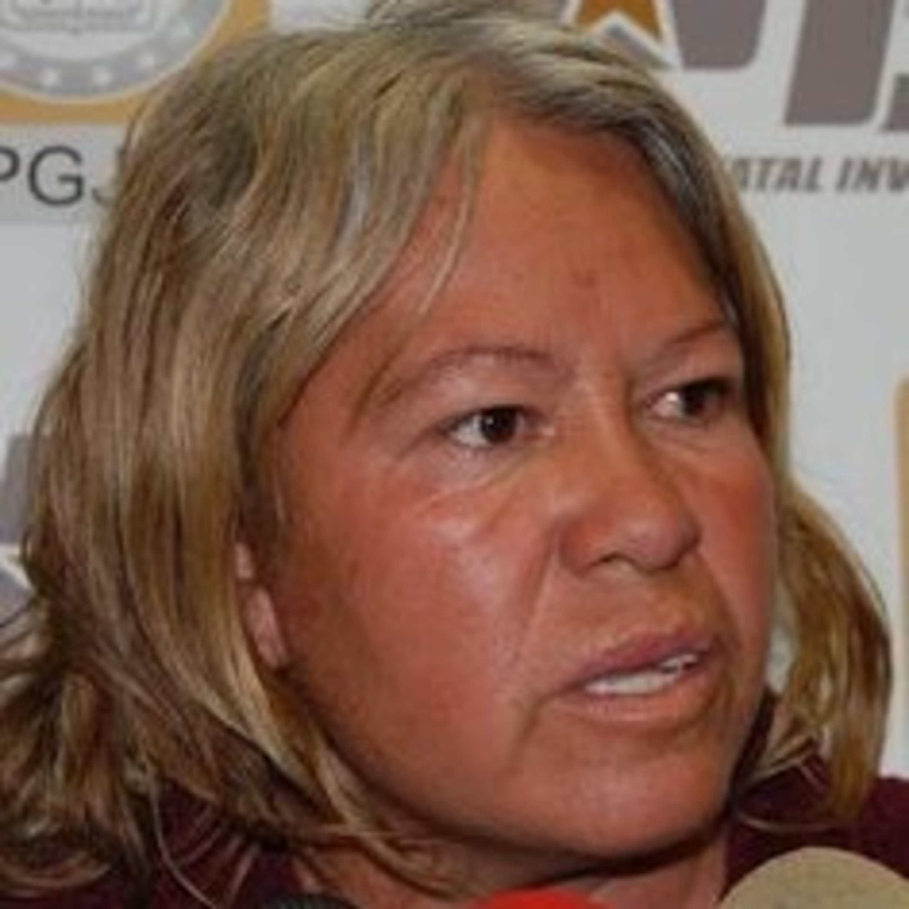 La Clío de Guanatos.