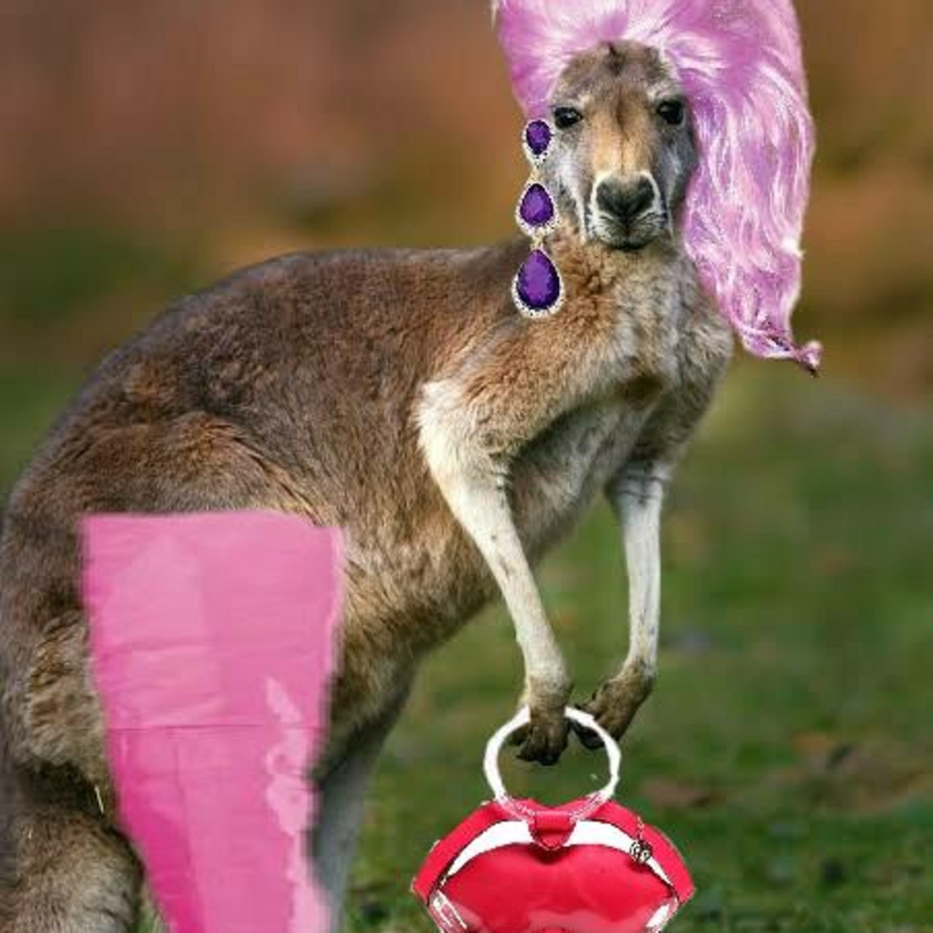 KANGA-RU de Peruca!