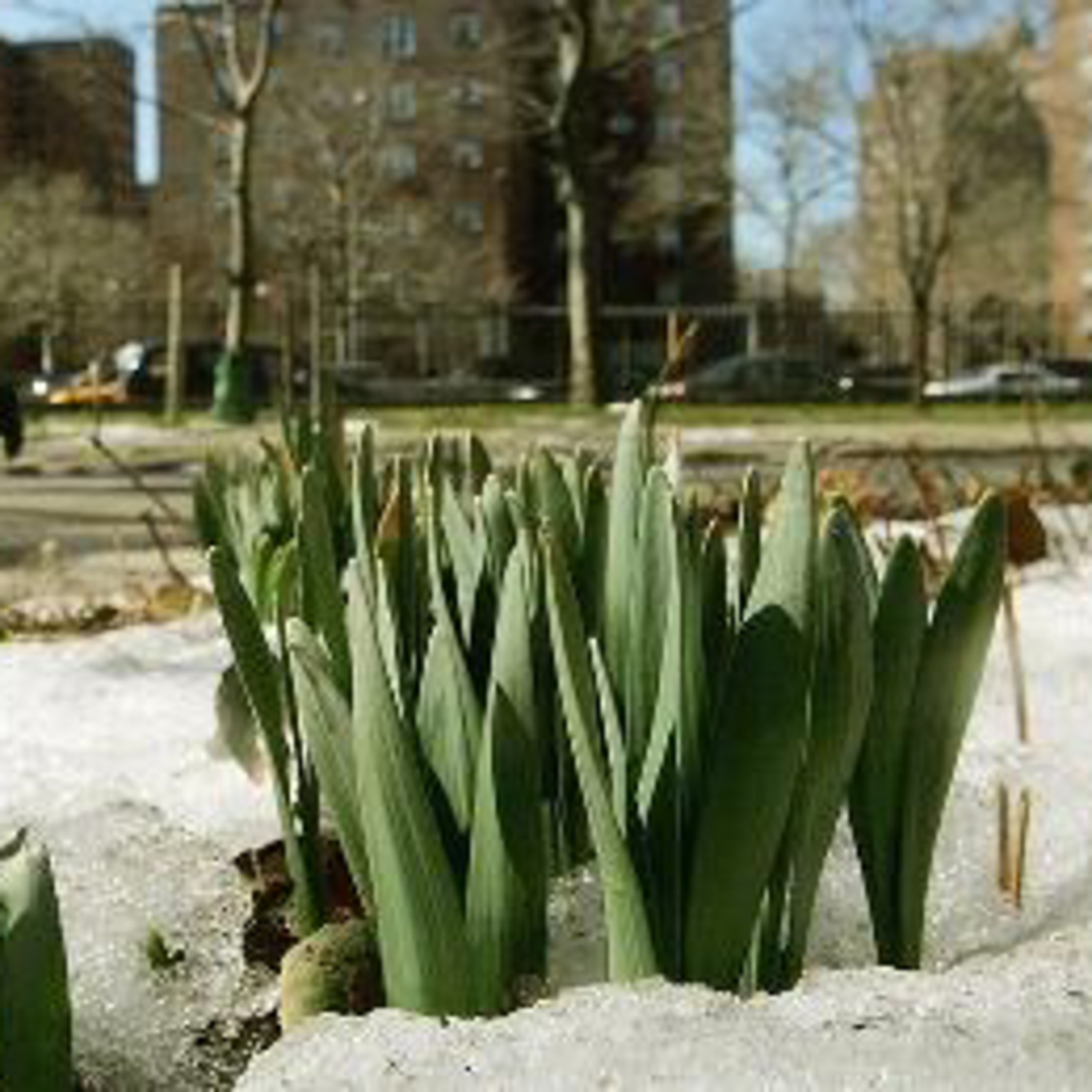 Meteorological winter is over!