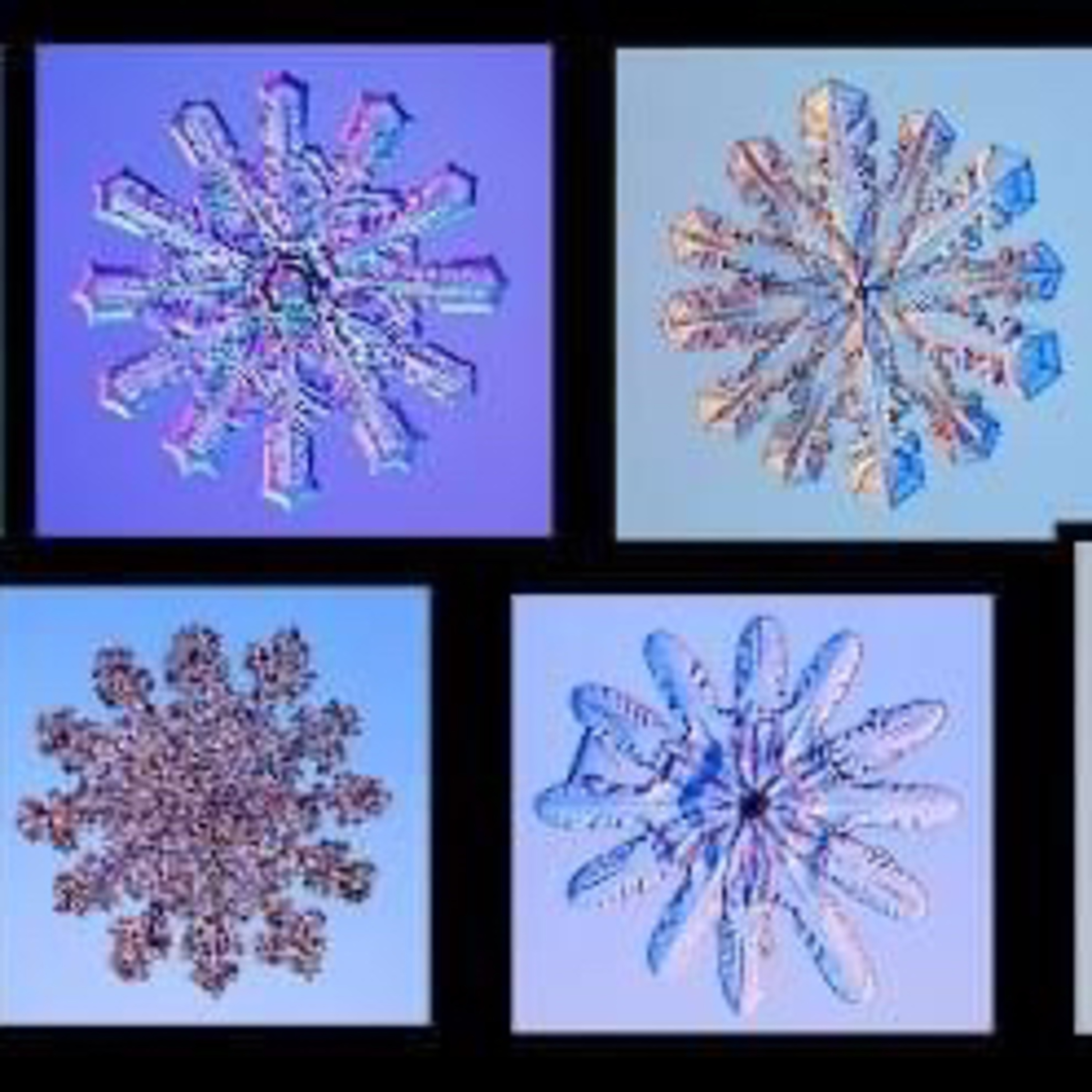 Chilly weekend puts us in a wintry mood