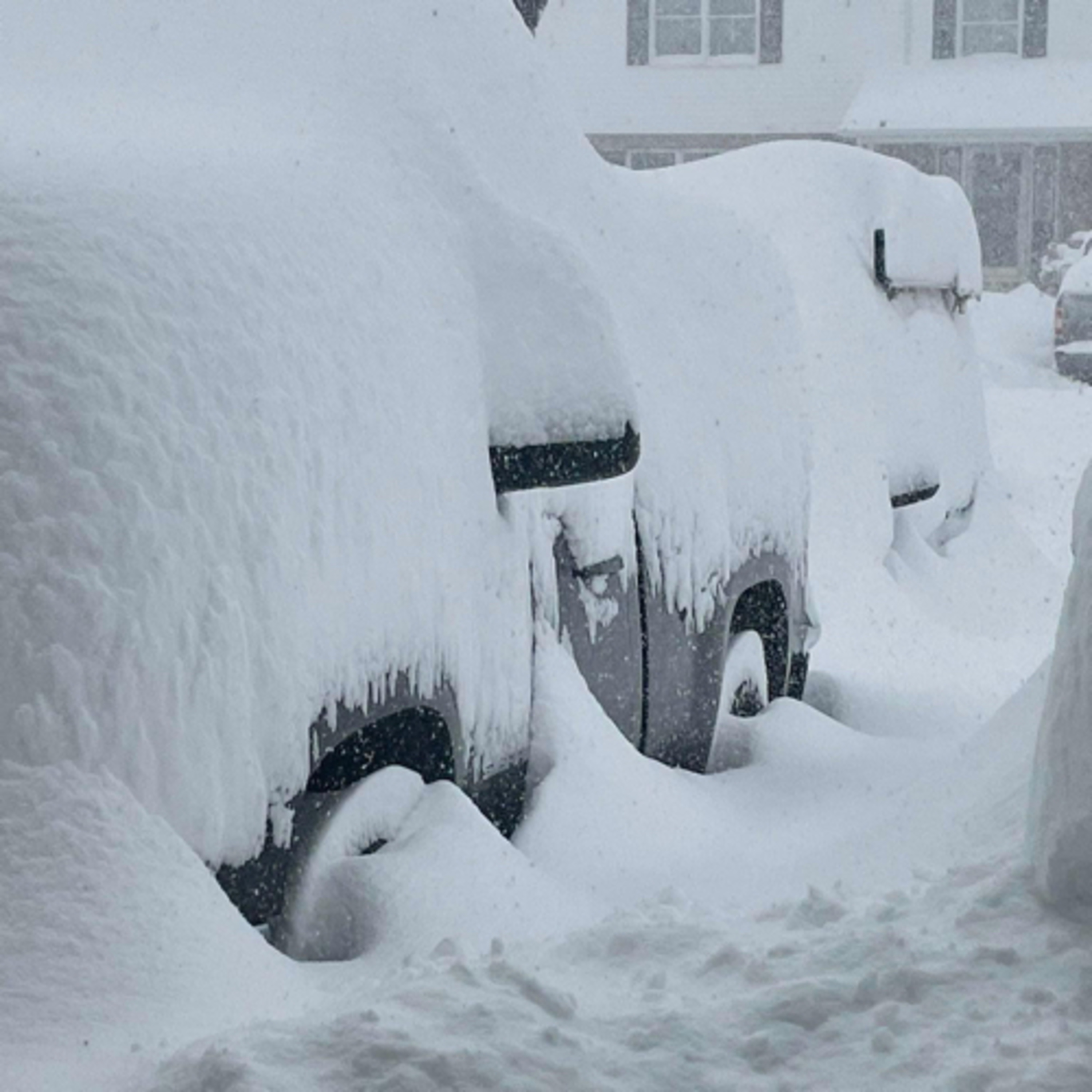 Pattern change to end Buffalo snowball