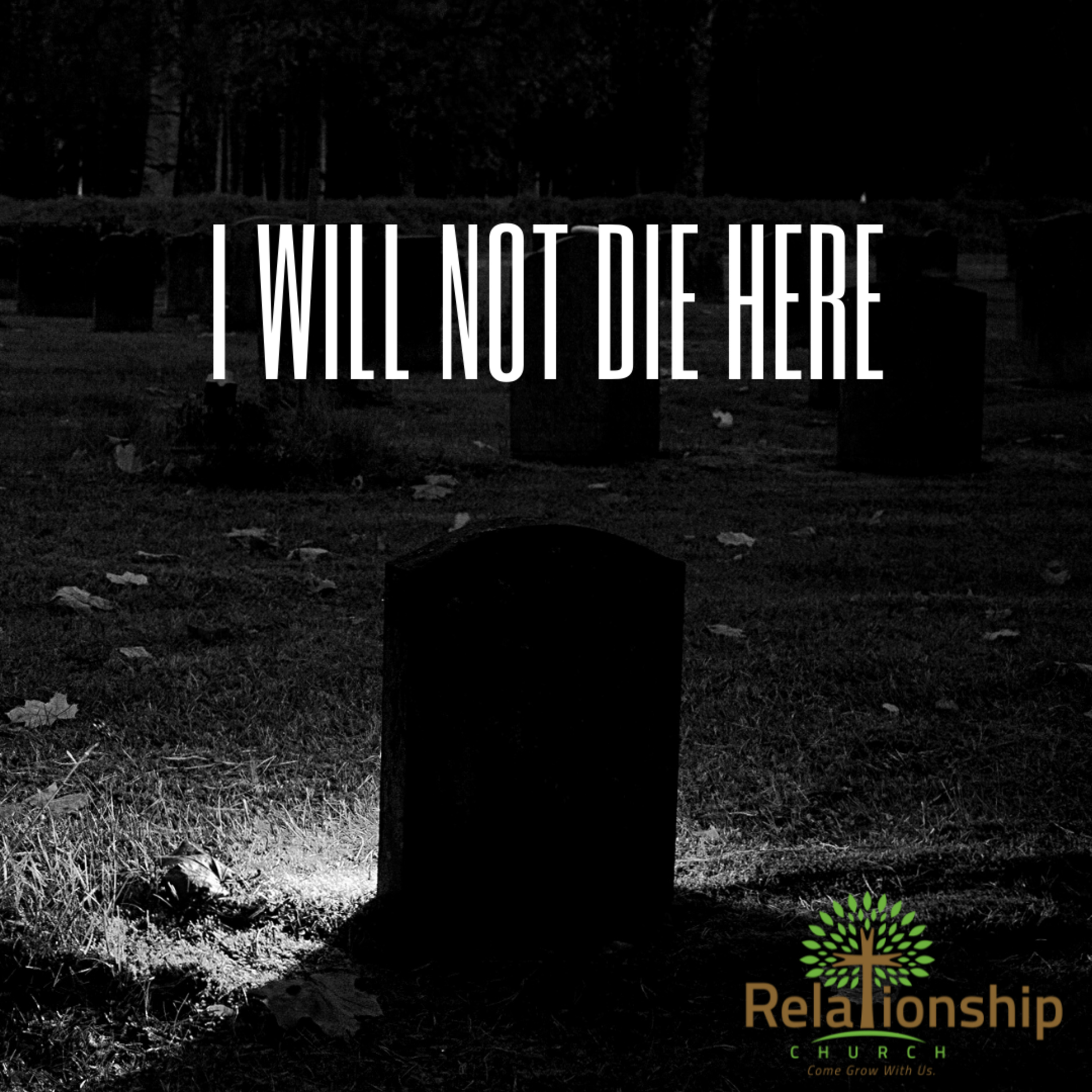 I Will Not Die Here episode artwork