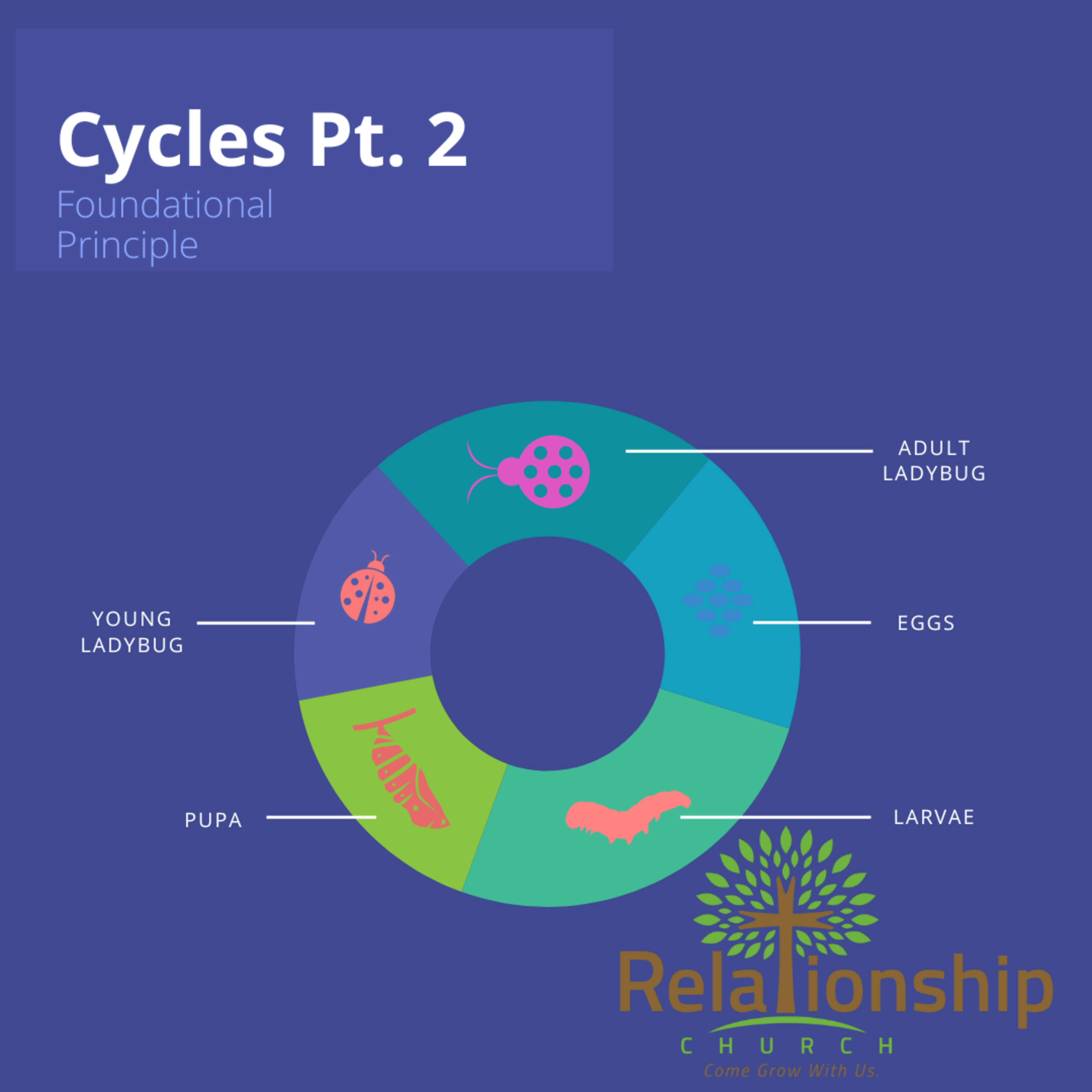Cycles Pt. 2 episode artwork