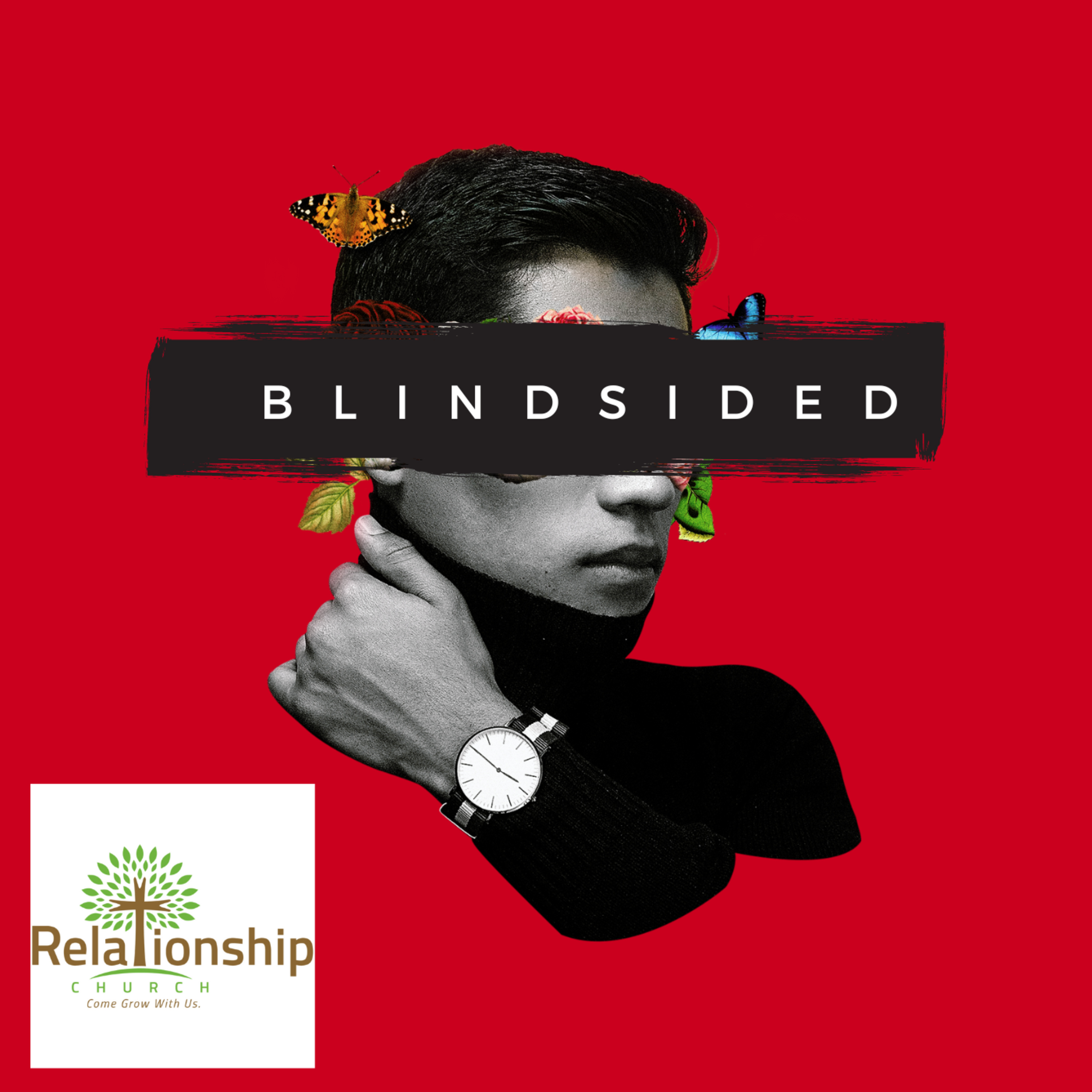 Blindsided  episode artwork