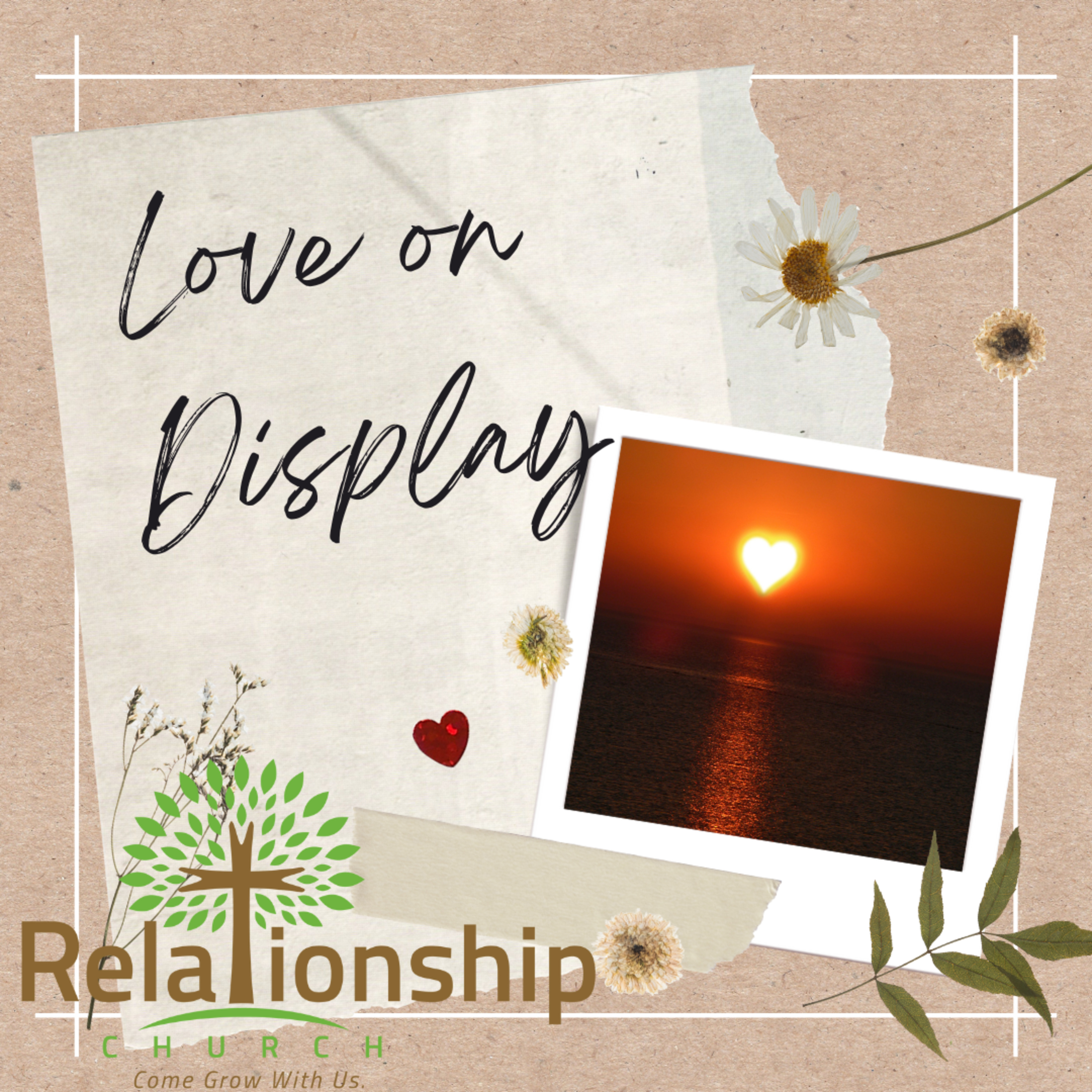 Love on Display episode artwork