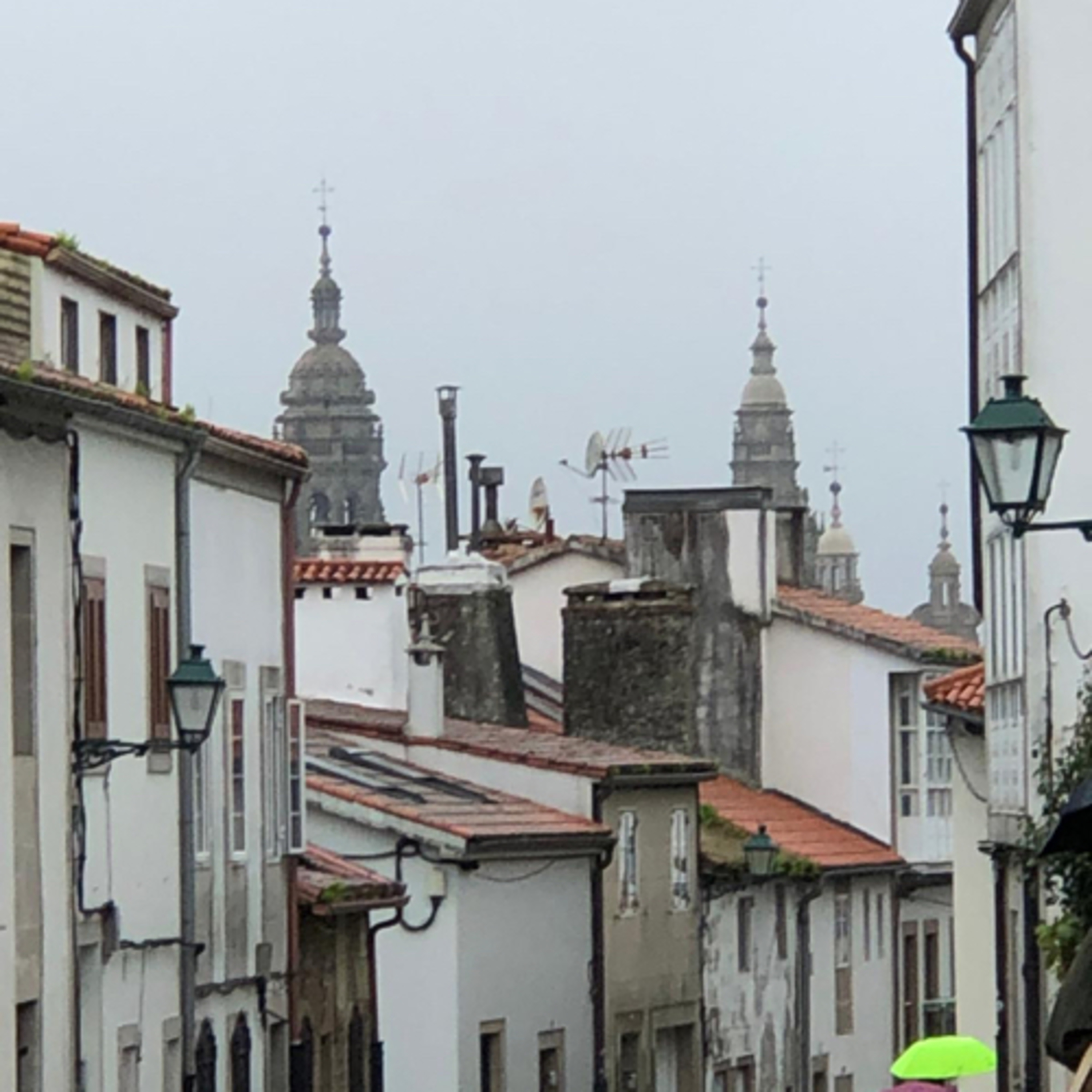 Canino Englise Stage 1. Ferrol tot Neda.