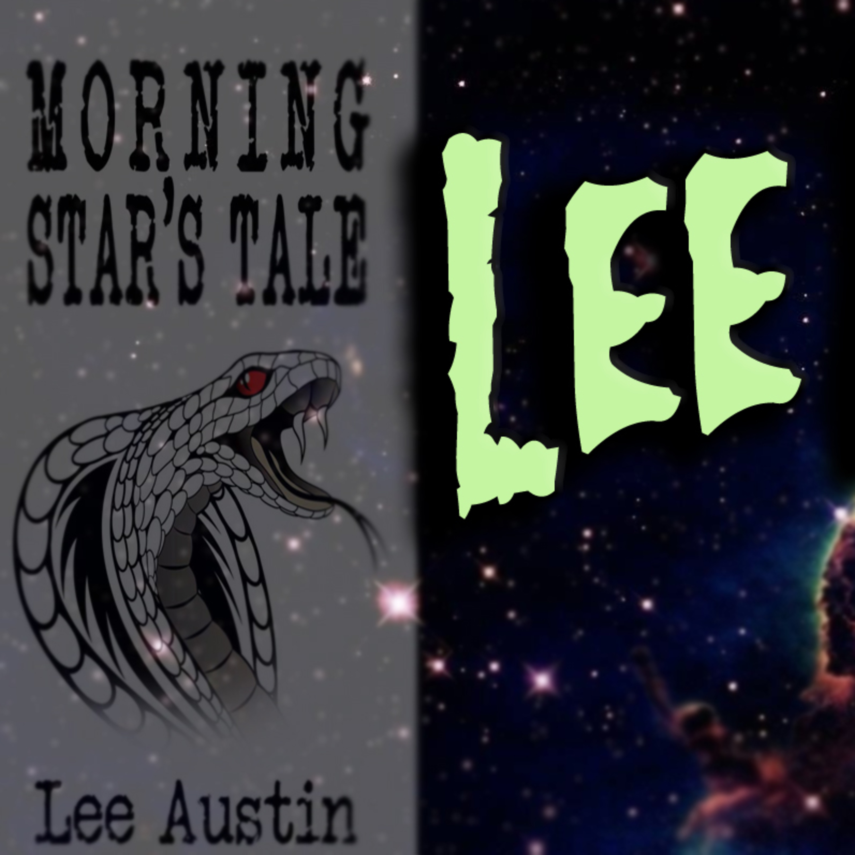 Lee Austin - The Flat Earth, Behind The Curve, New Zealand Shooting