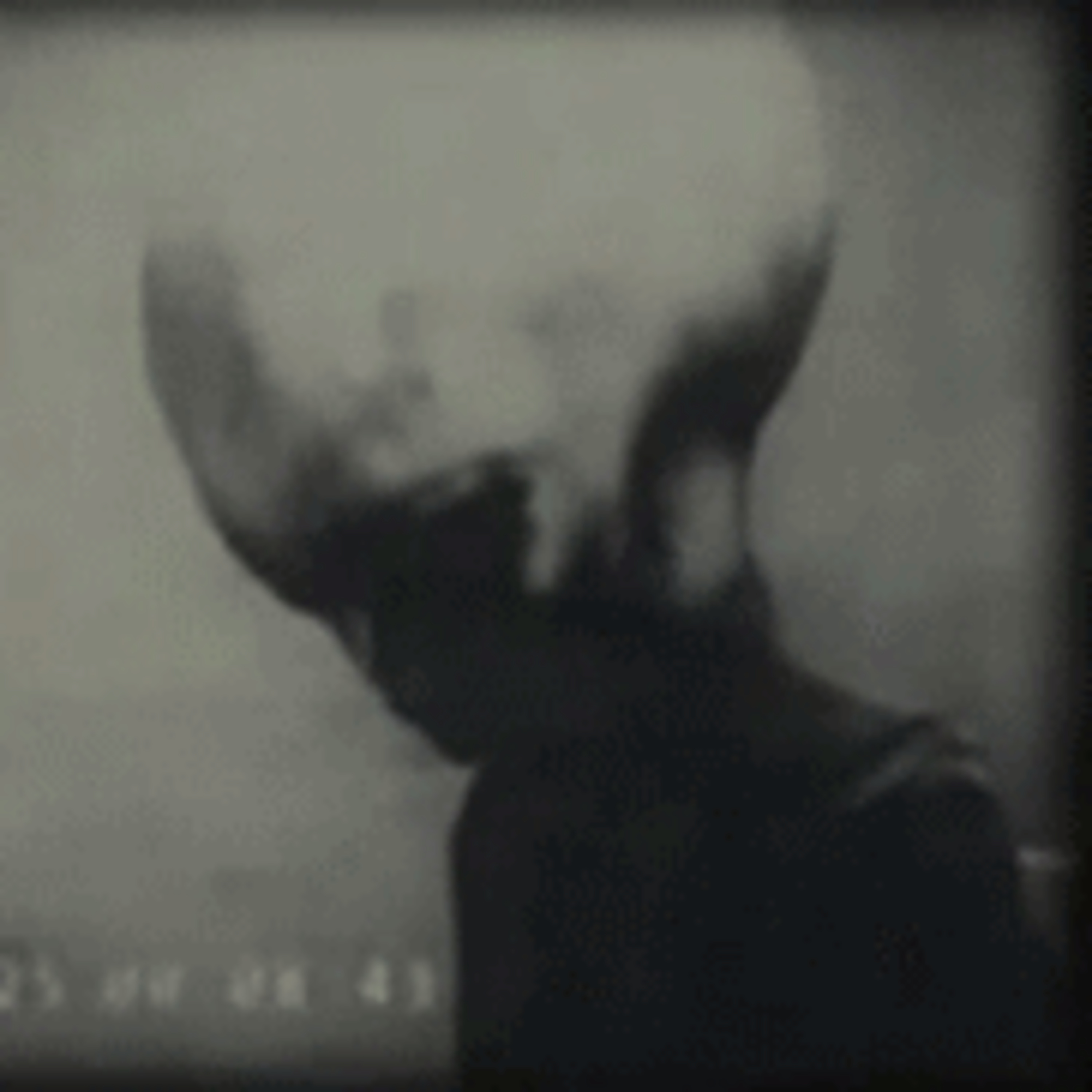 Peter Robbins x Kevin Randle x Mike Rogers - Were bodies recovered from the Roswell Crash? The Phoenix lights Legit? Whackos at conferences