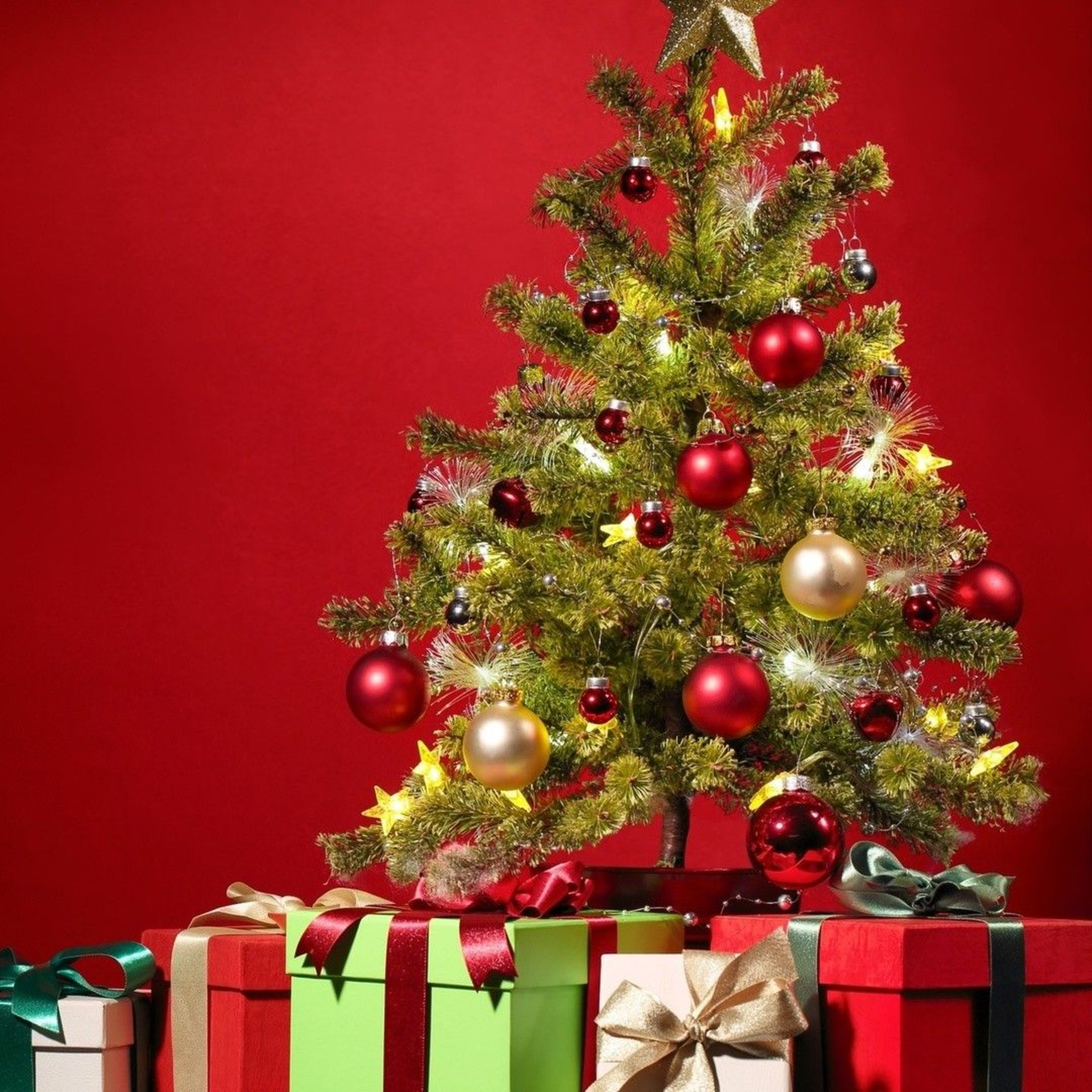 Merry Christmas [ SPECIAL X-MAS EDITION ] 2021
