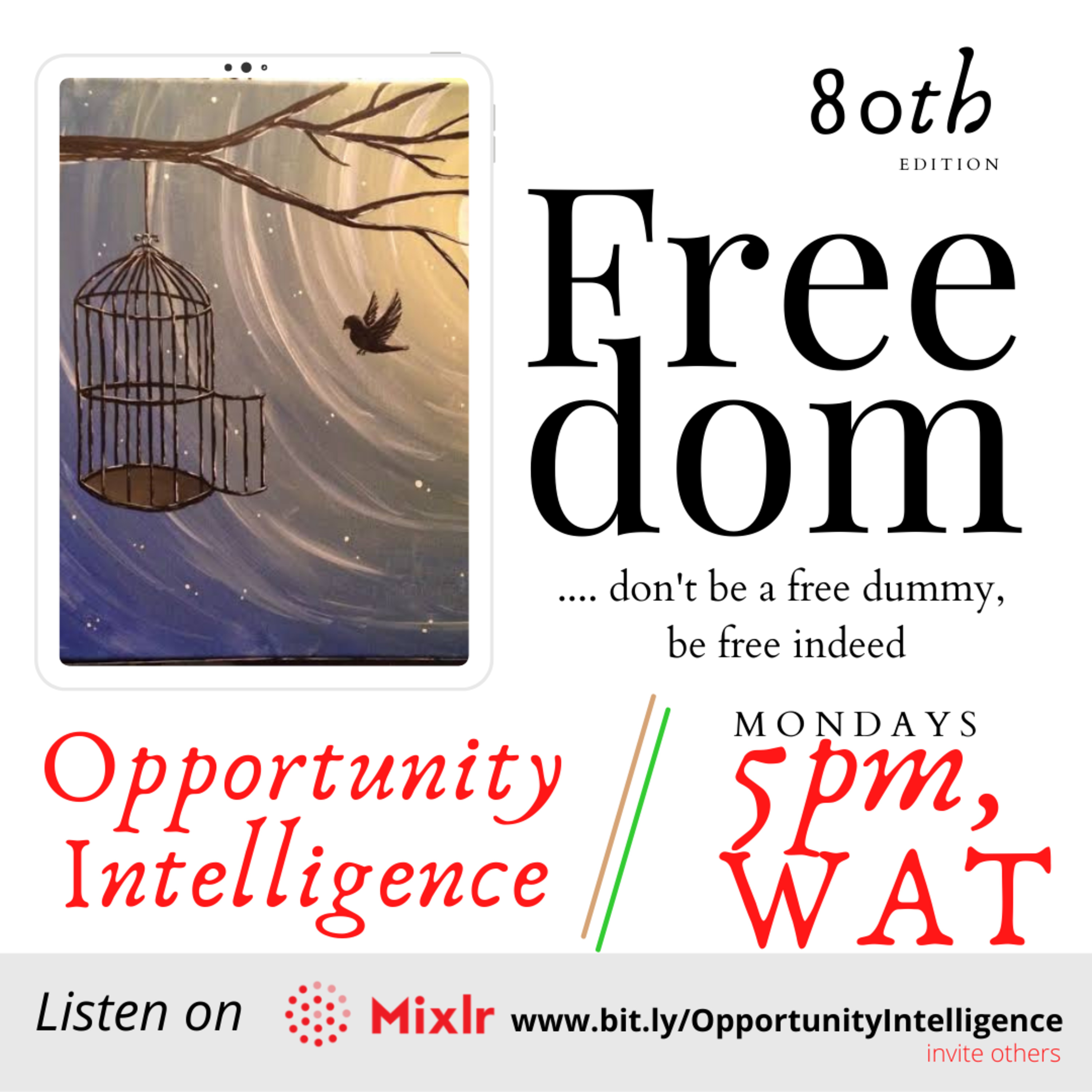 FREEDOM - Opportunity Intelligence  episode artwork