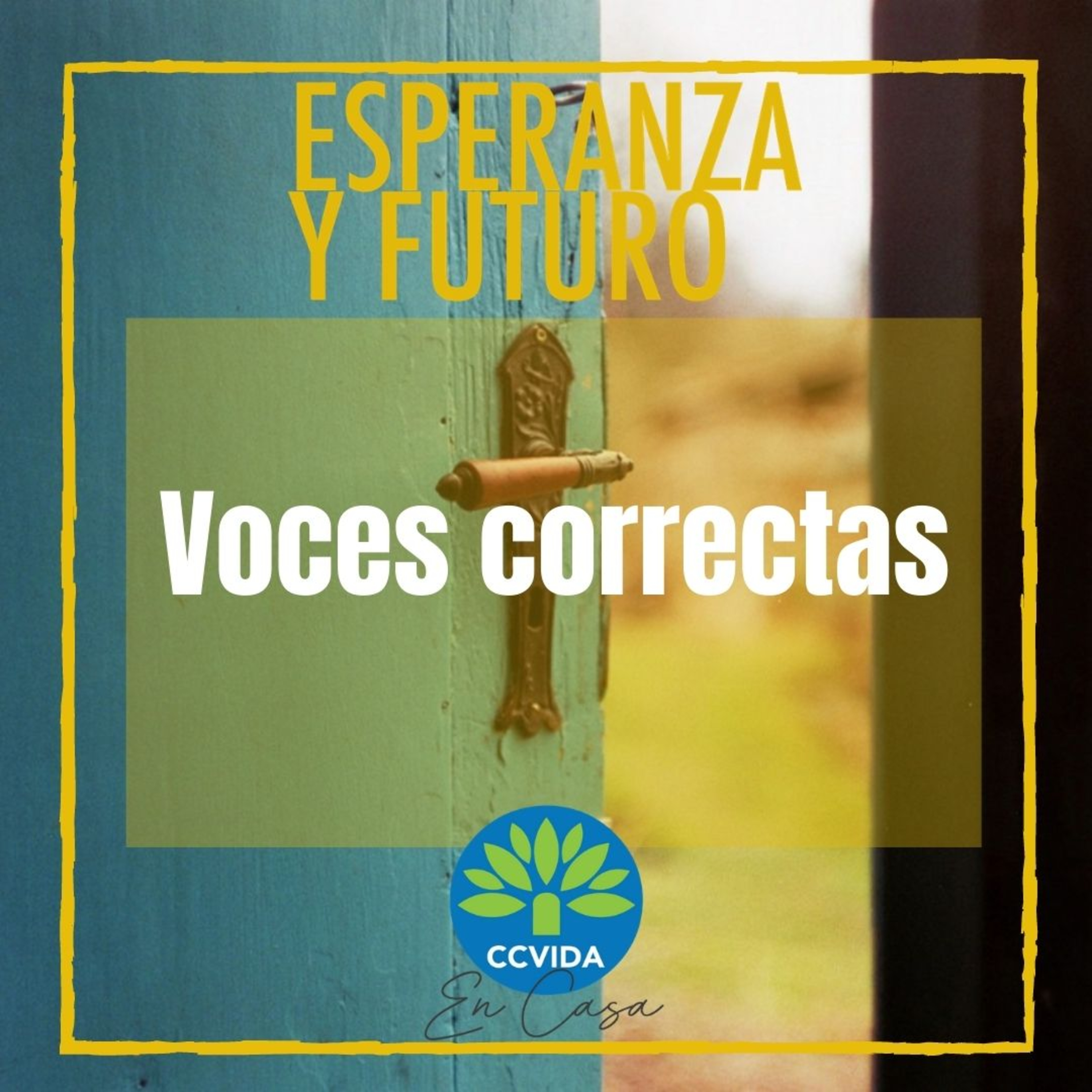 Voces Correctas episode artwork