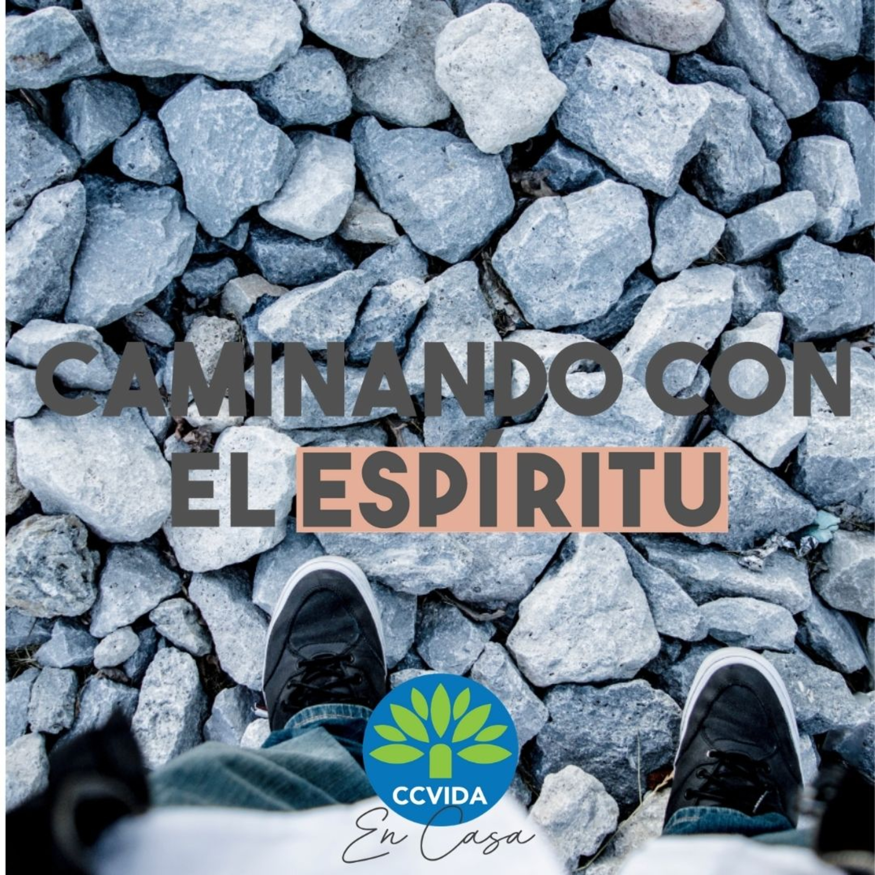 CCVida Argentina Predicaciones