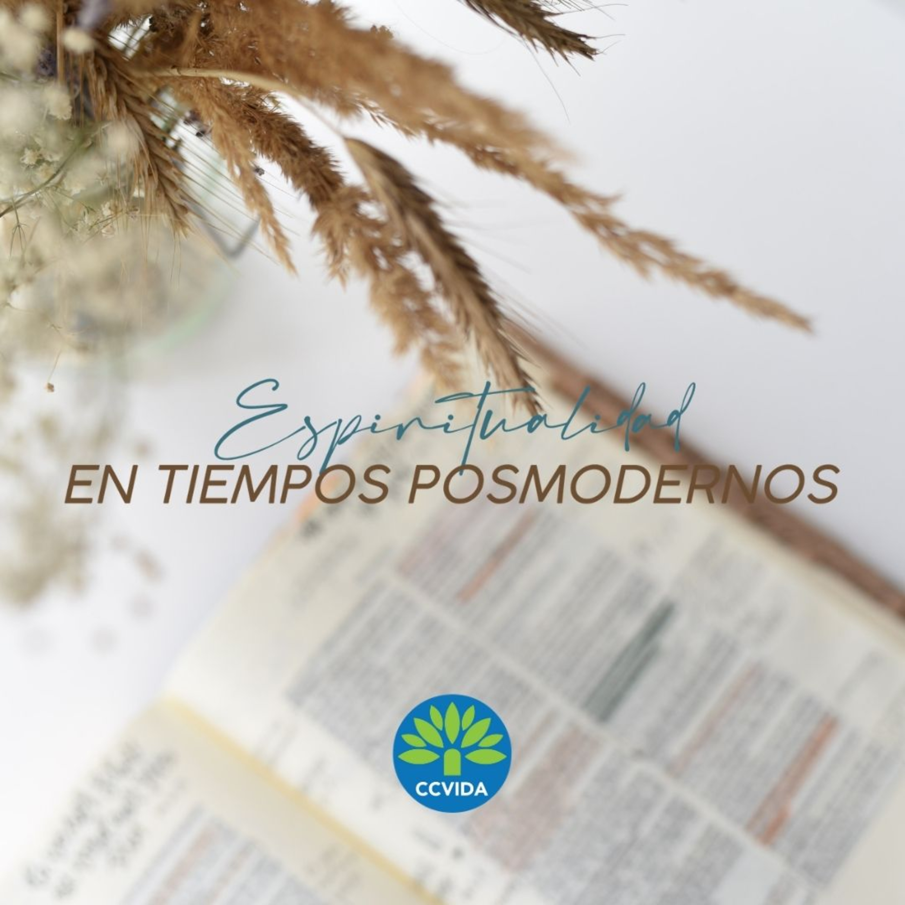 CCVida Argentina Predicaciones