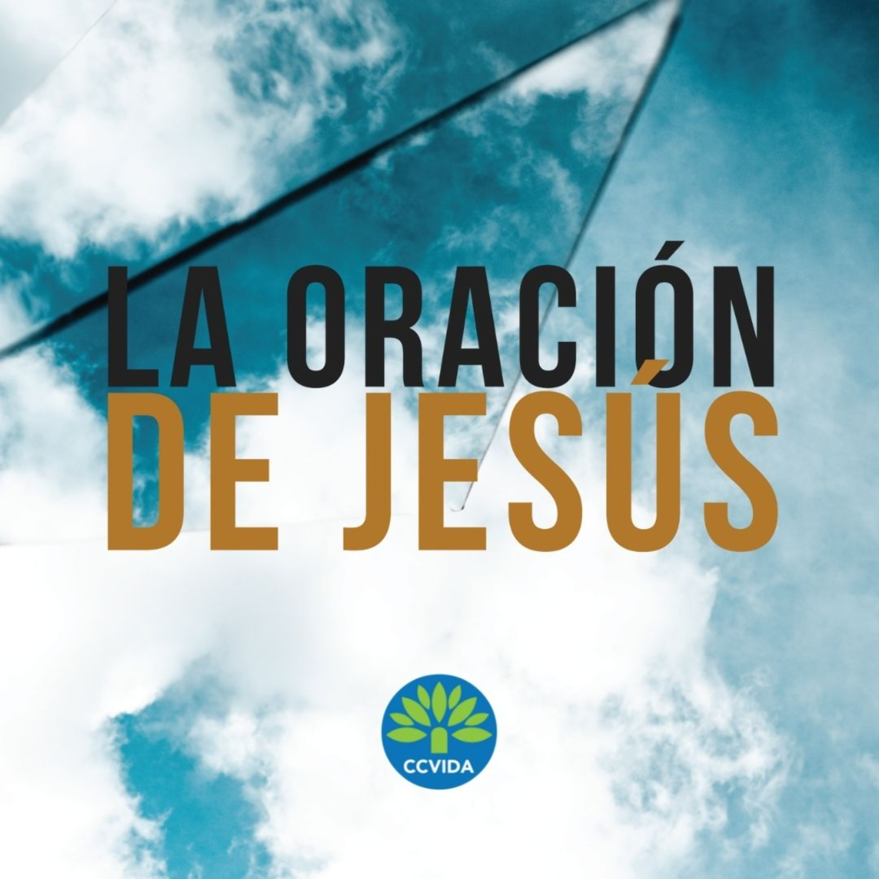 CCVida Argentina Predicaciones