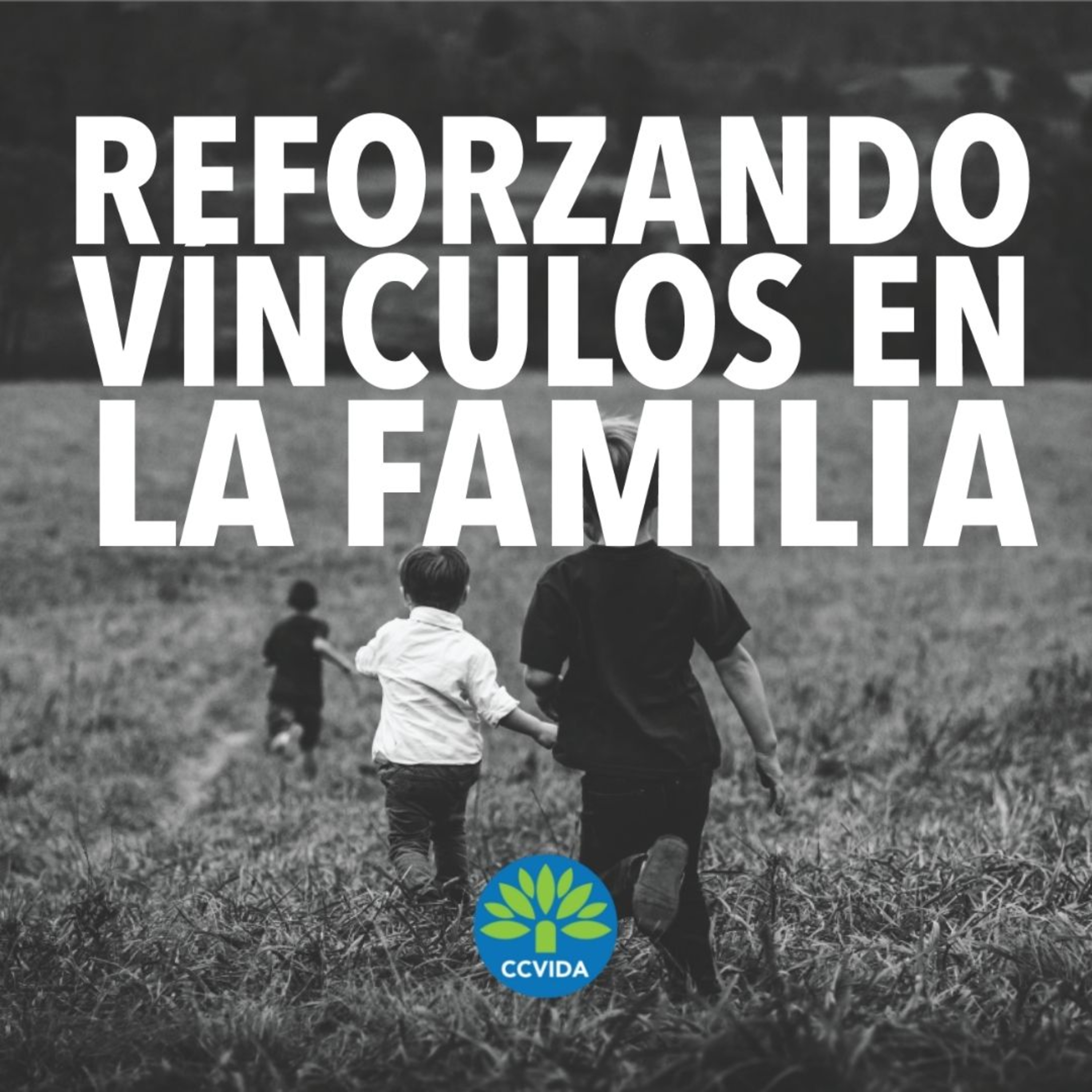 CCVida Argentina Predicaciones