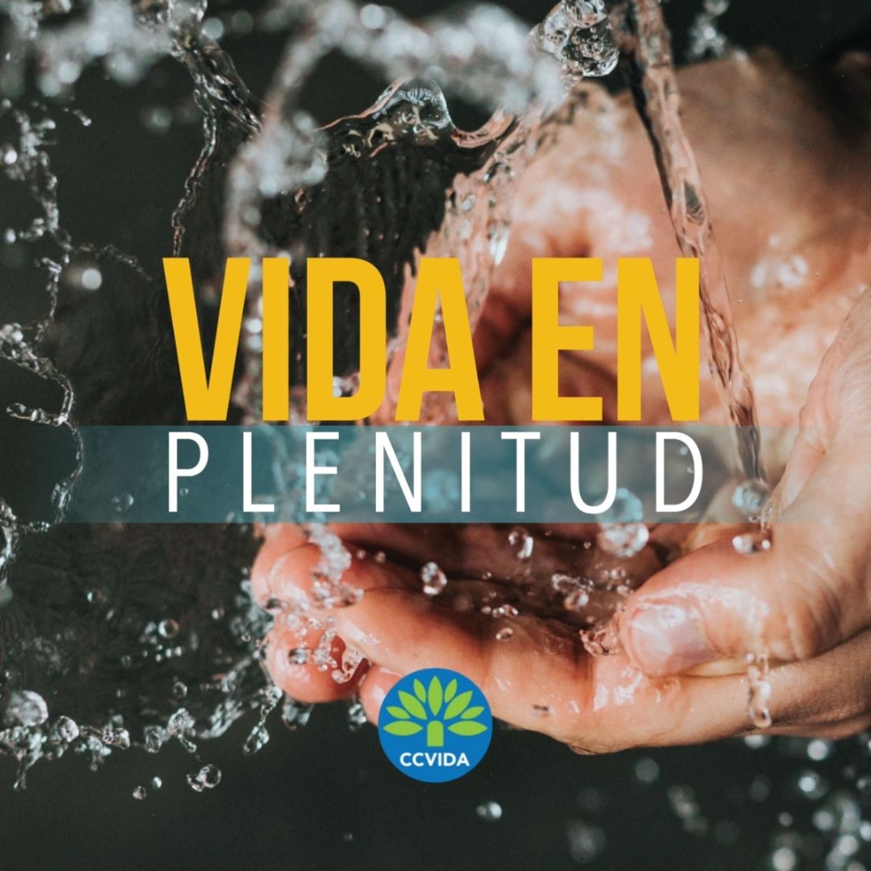 CCVida Argentina Predicaciones