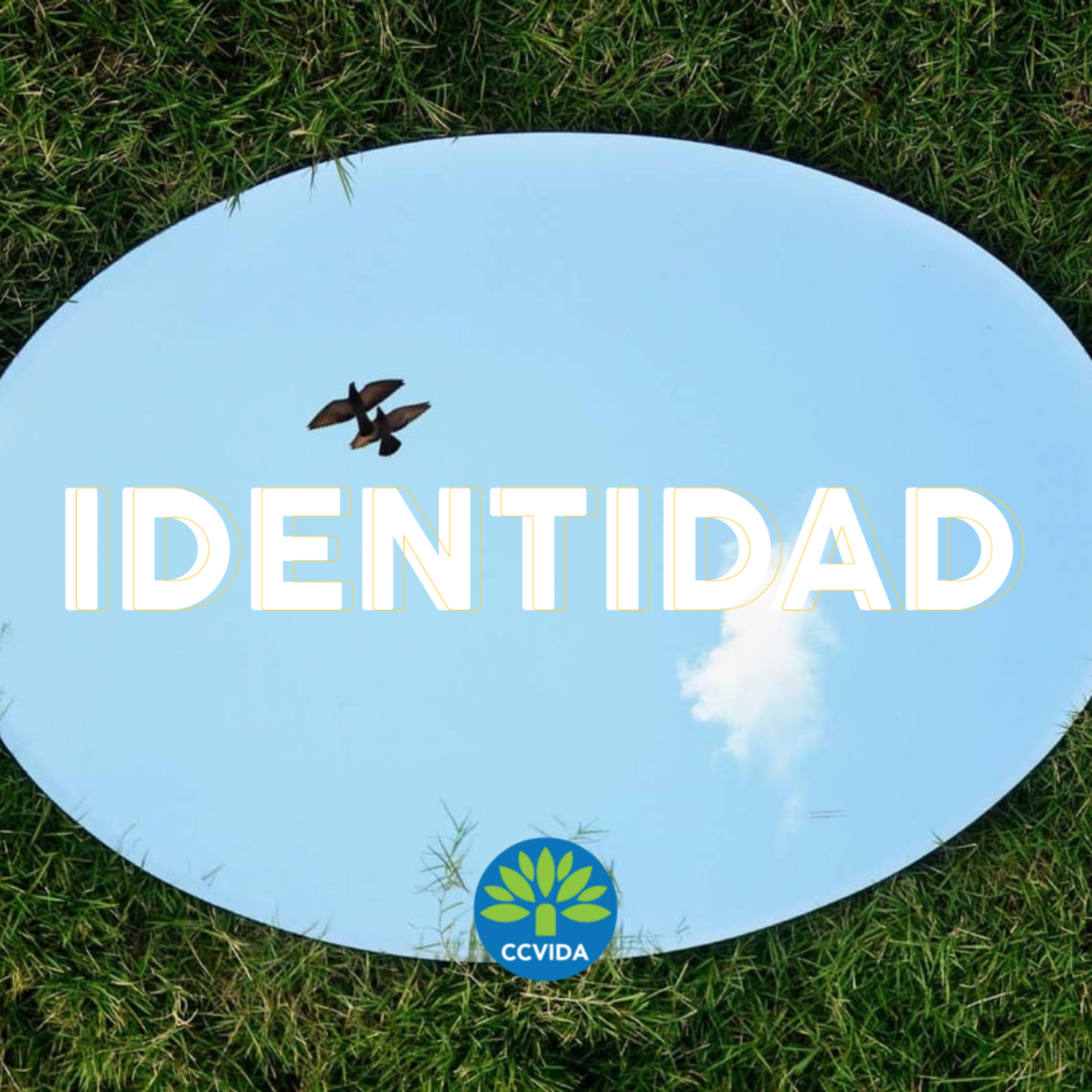 CCVida Argentina Predicaciones