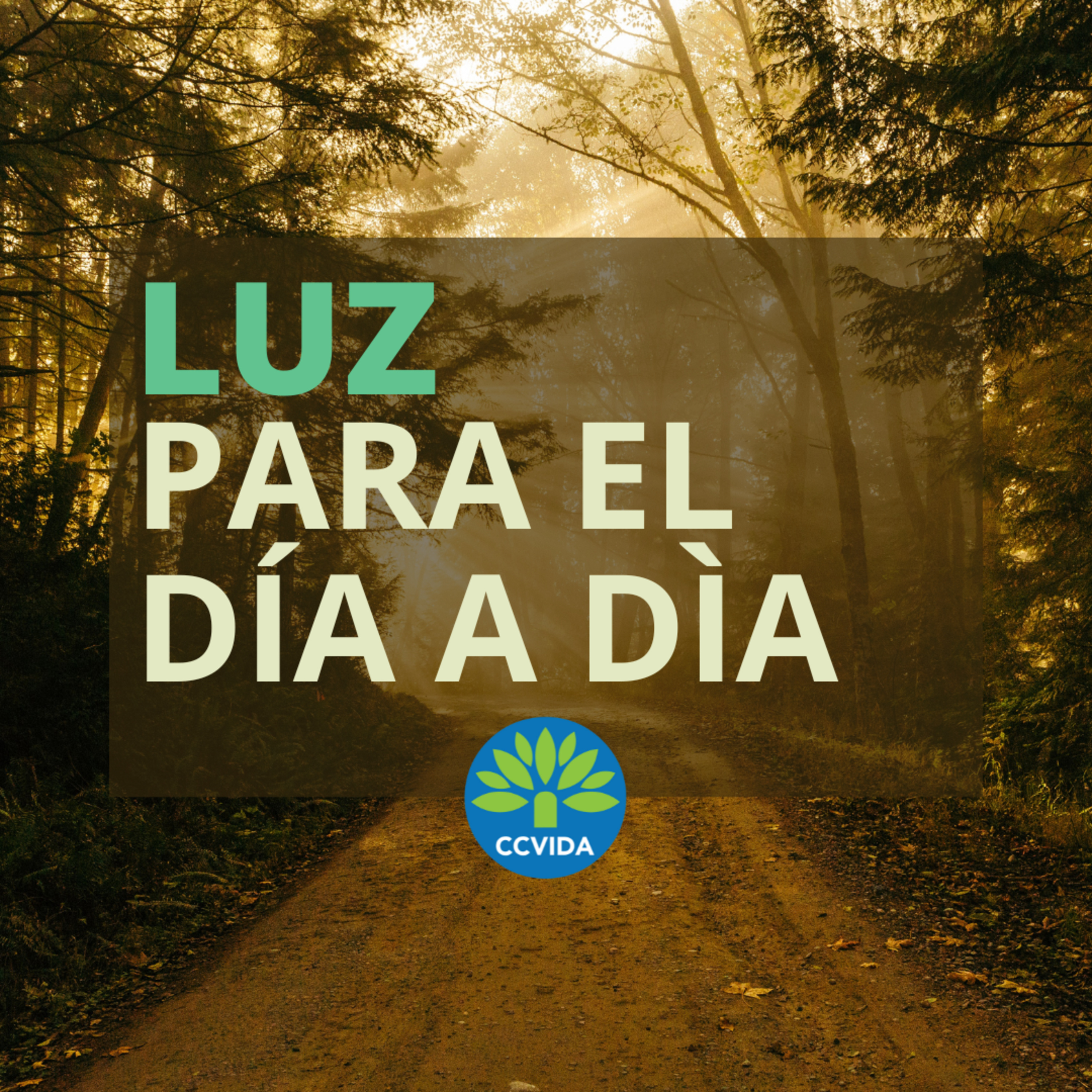 BUSCANDO Y ENCONTRANDO EN LA PALABRA | Pastor: Rocco Di Trolio episode artwork