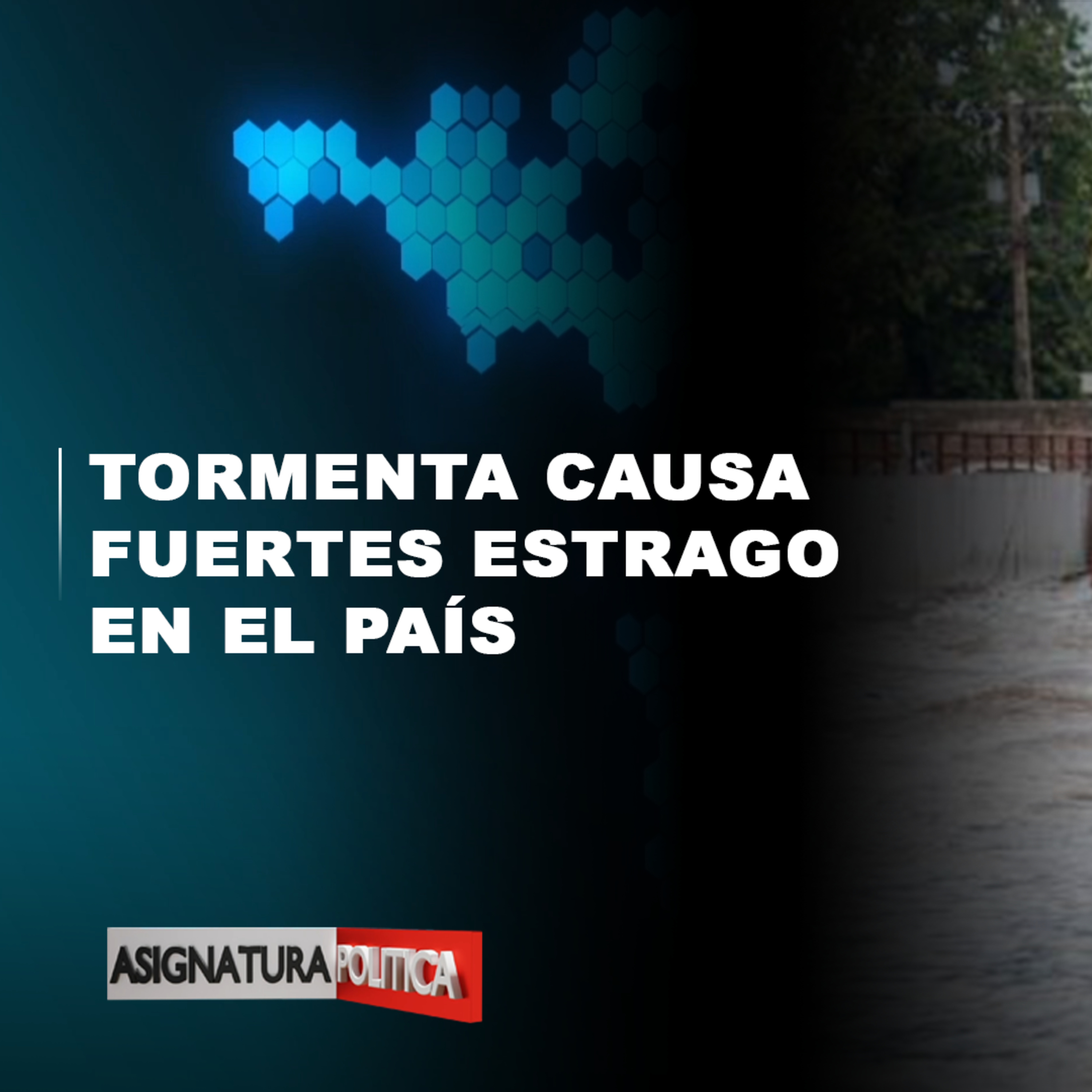 Asignatura Política | Cachicha.com