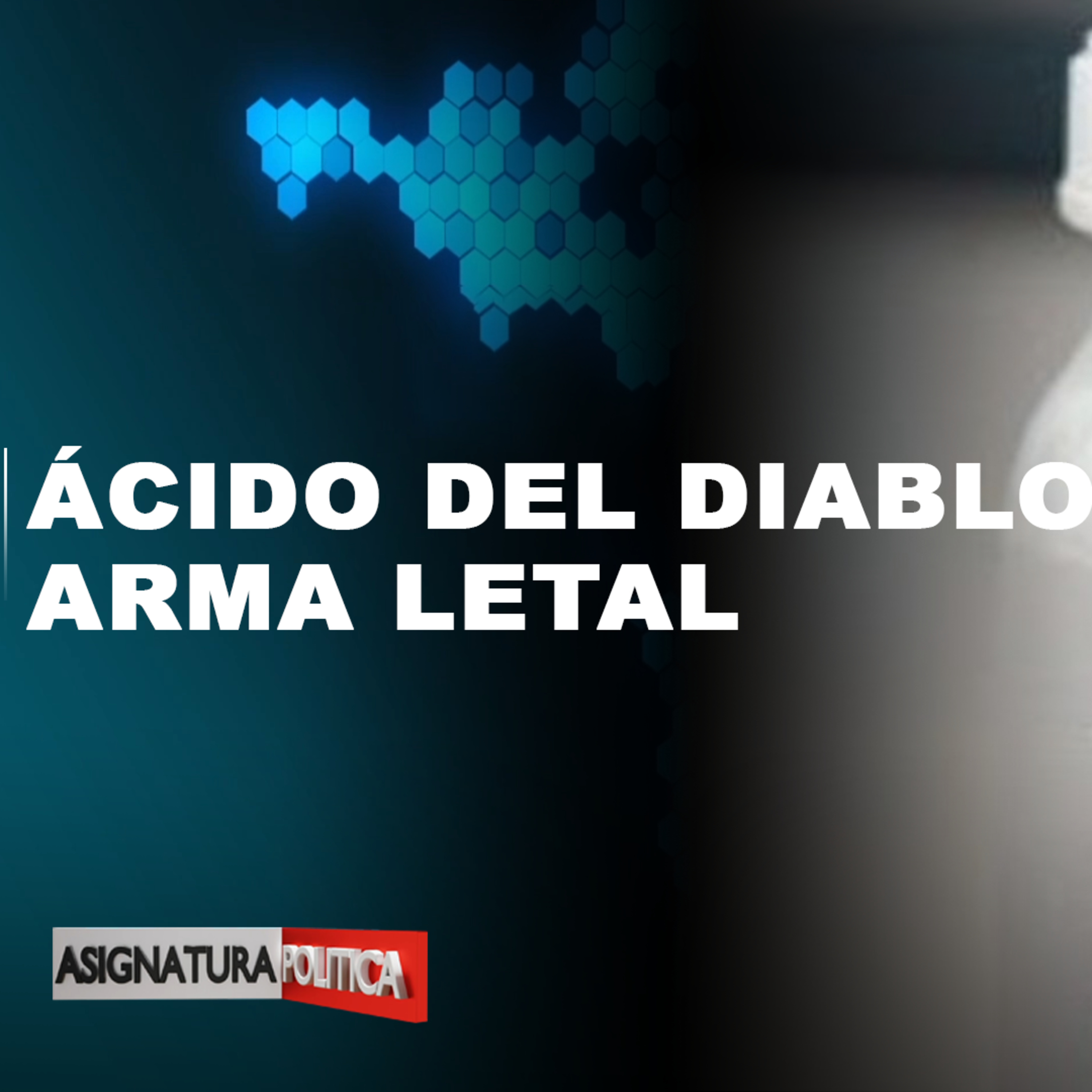 Asignatura Política | Cachicha.com