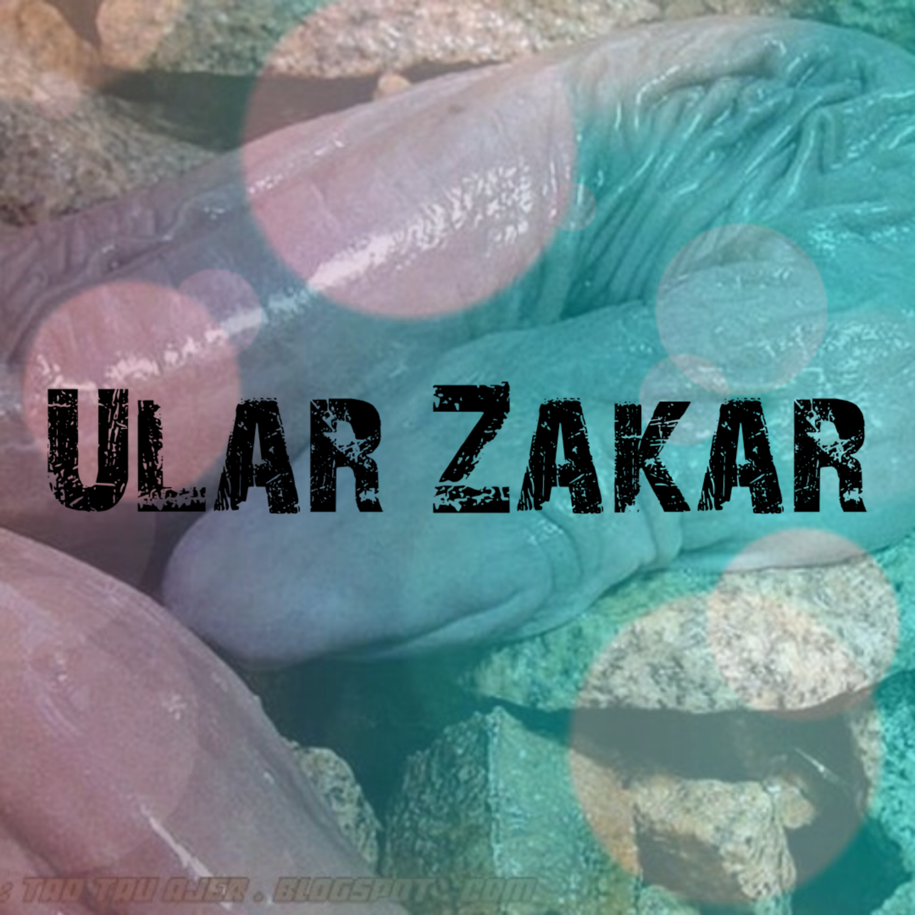 Kinabalu Podcast