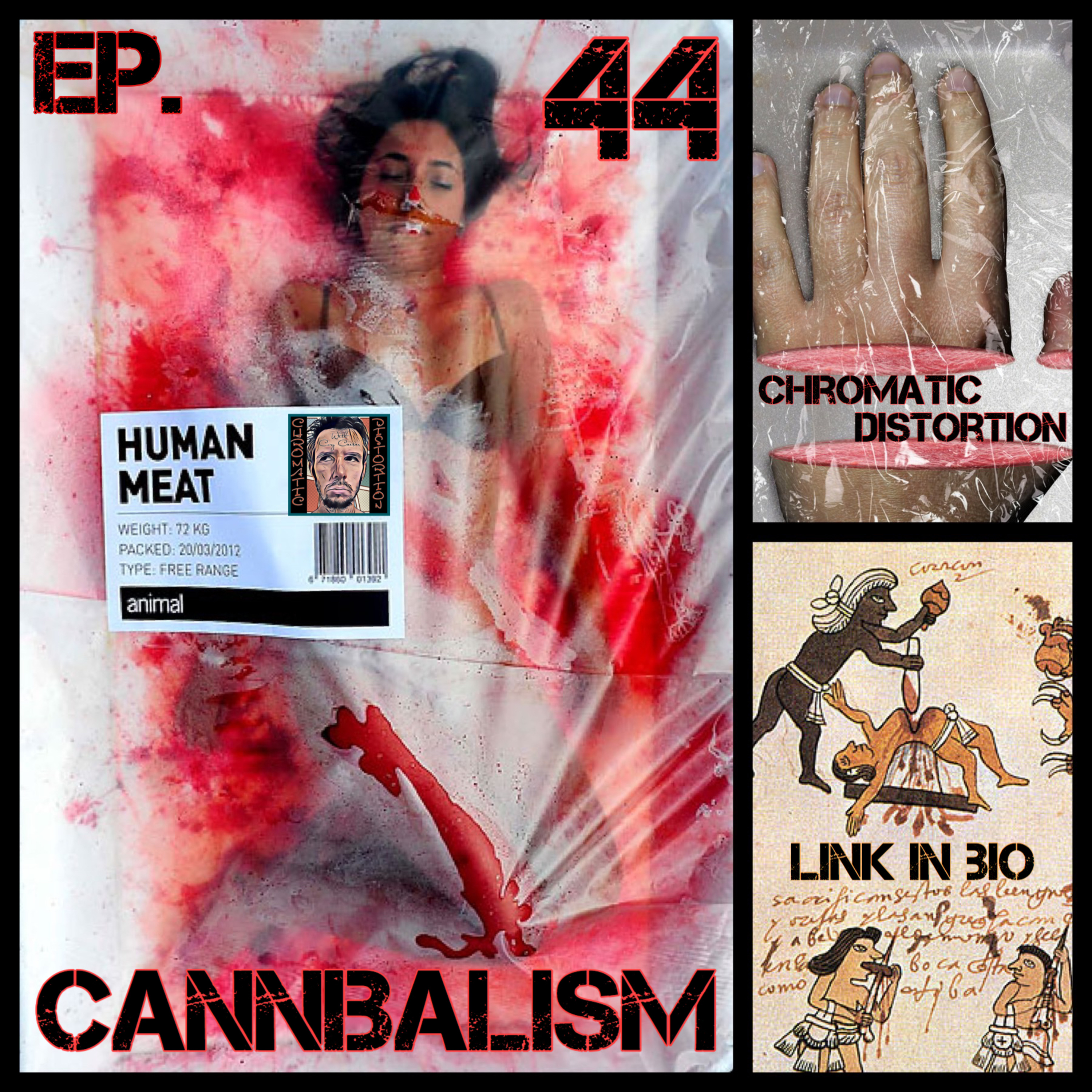 Ep. 44 - Cannibalism  episode artwork