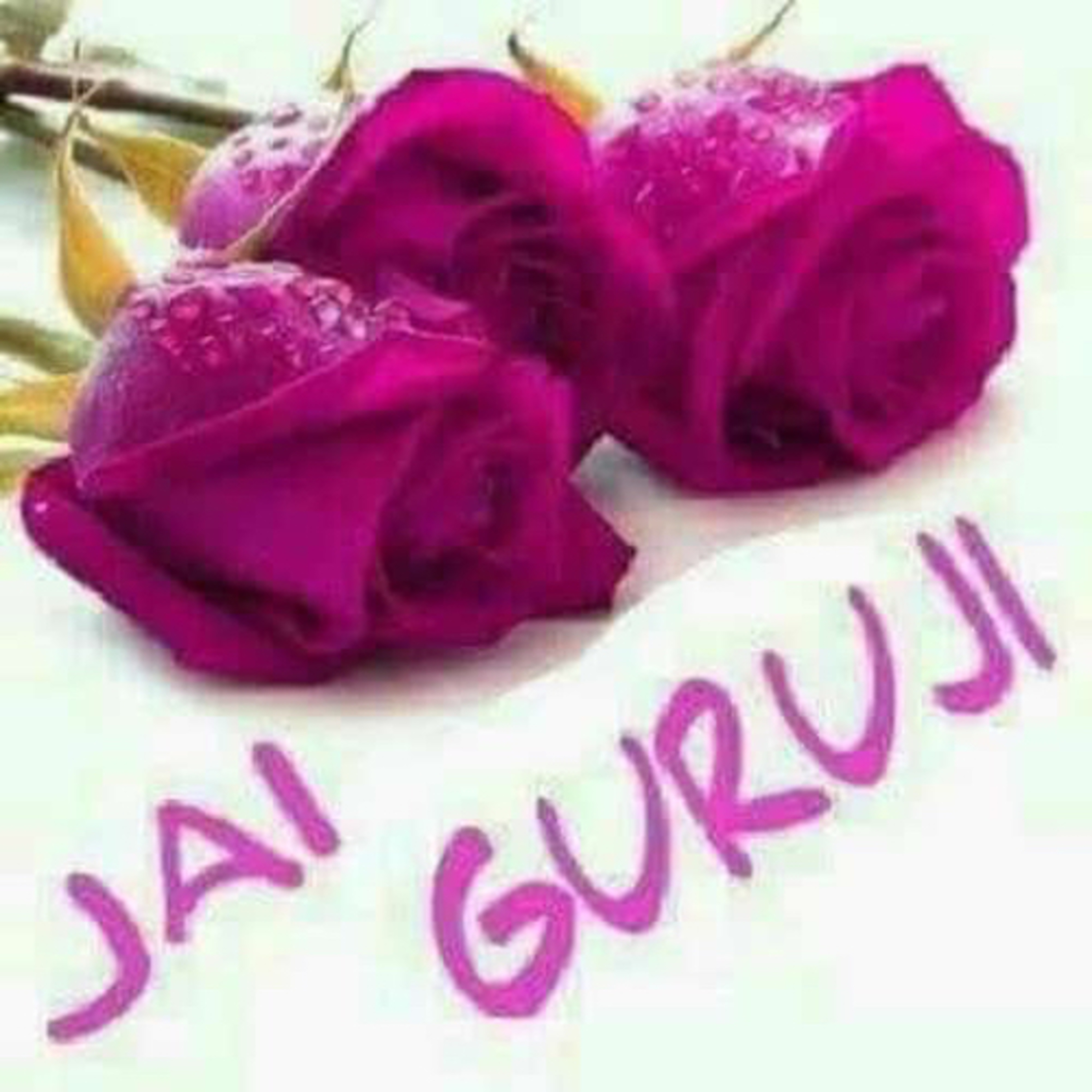 Blessings Always... Jai Guruji