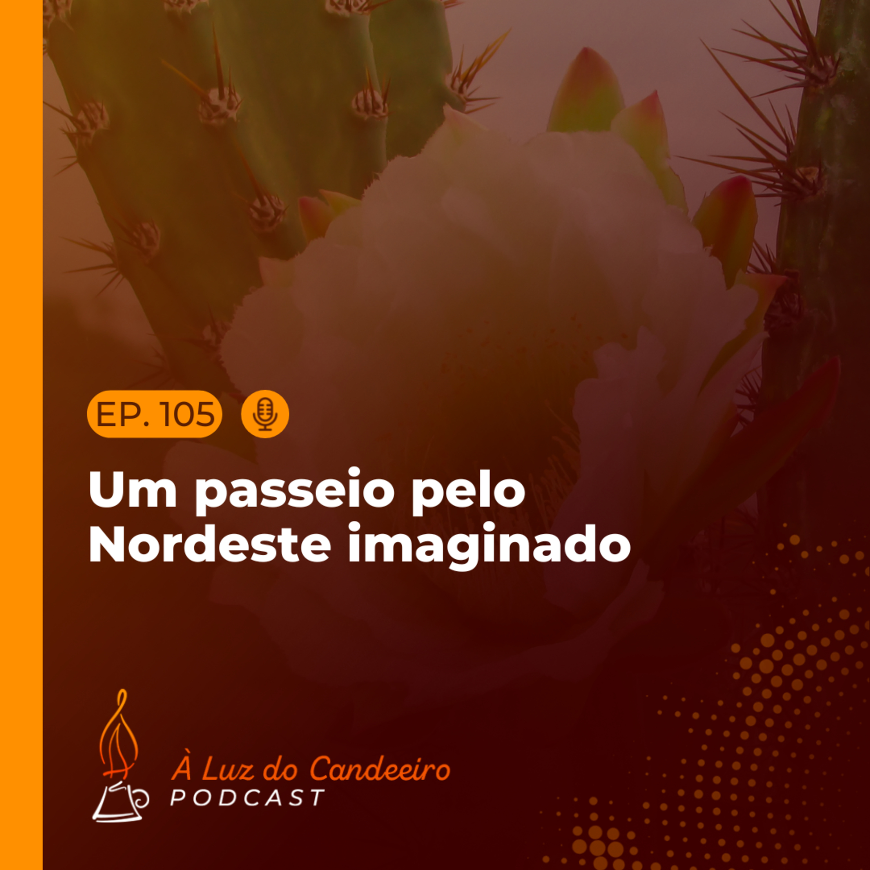 À Luz do Candeeiro