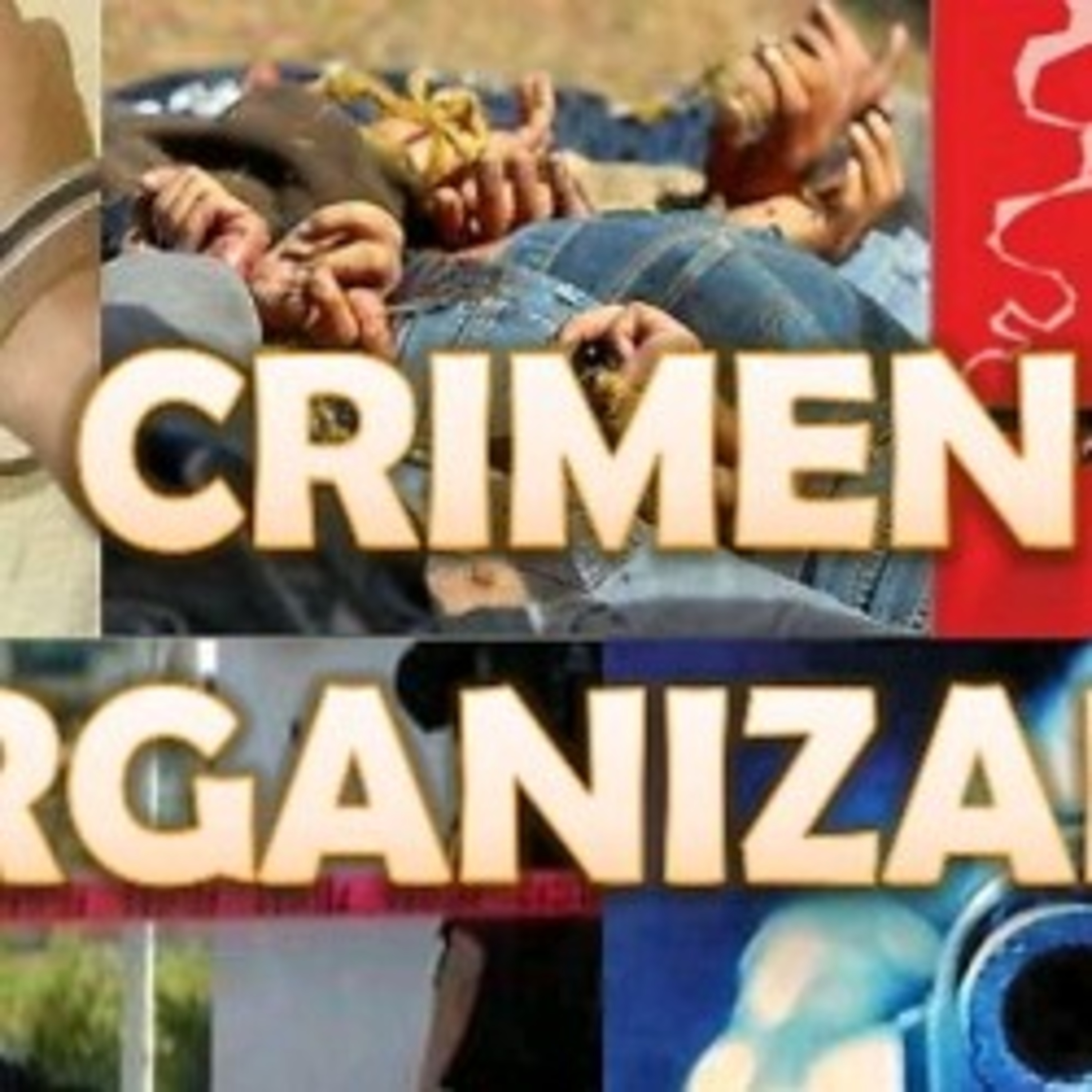 Portada de Estado RICPAP