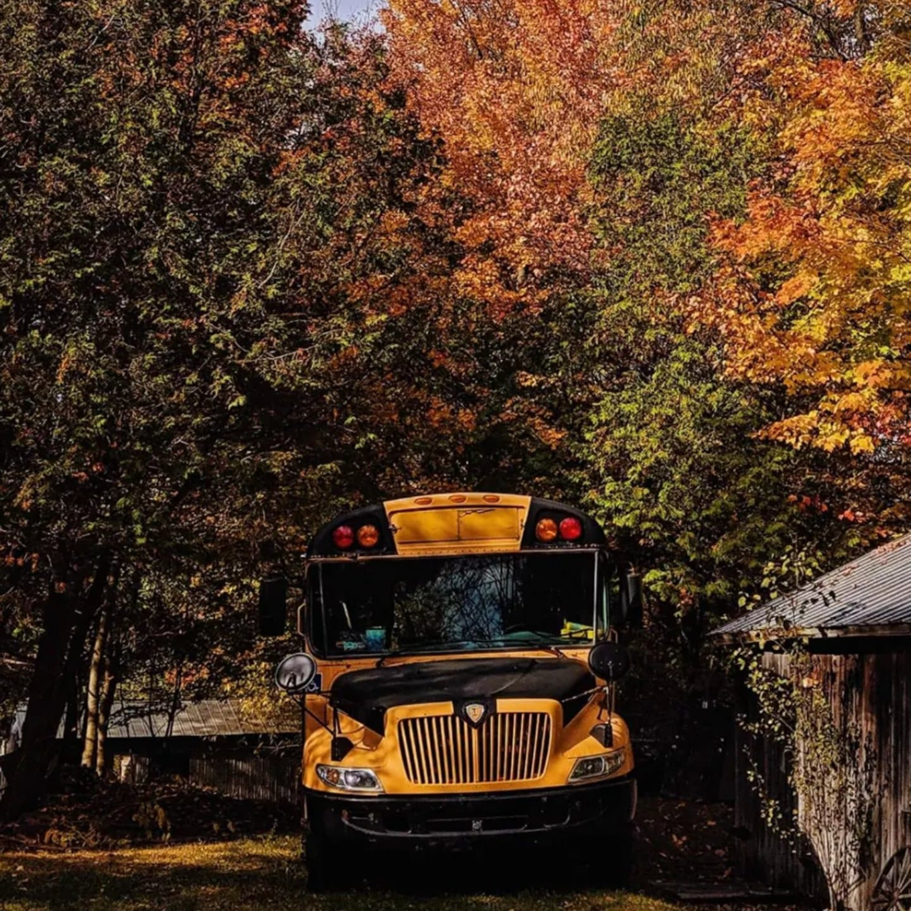A Canadian Skoolie