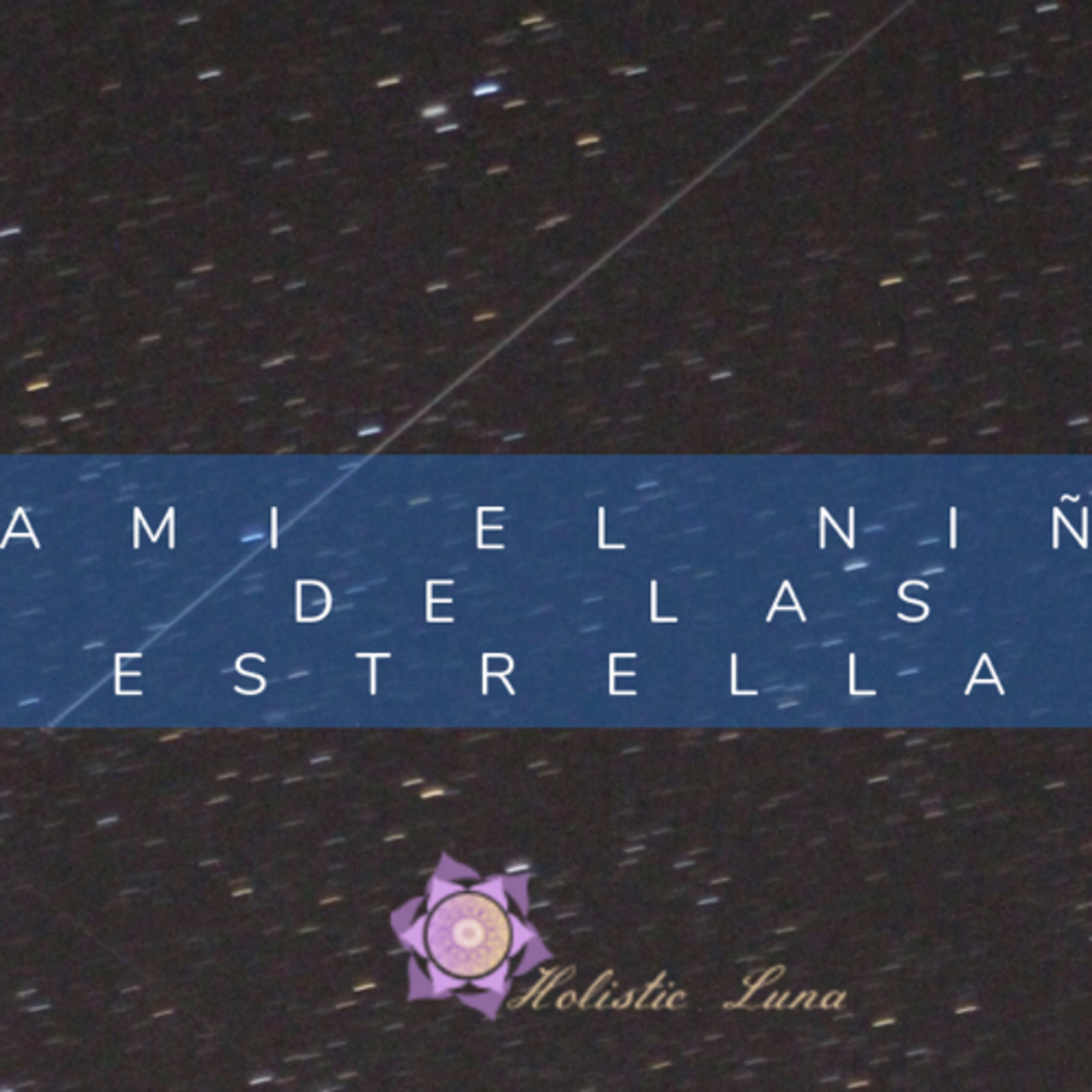 Portada de Holistic Lunar