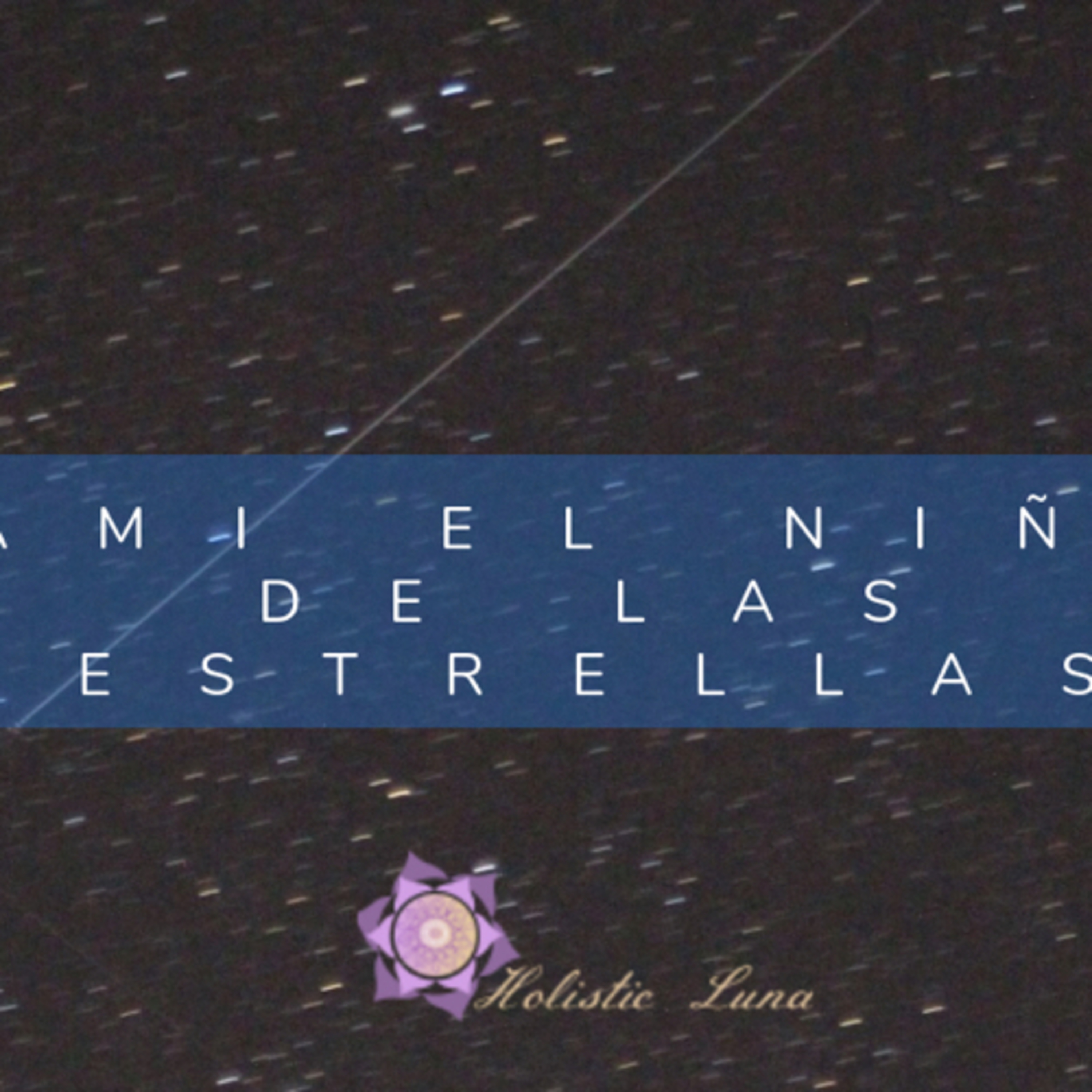 Portada de Holistic Lunar