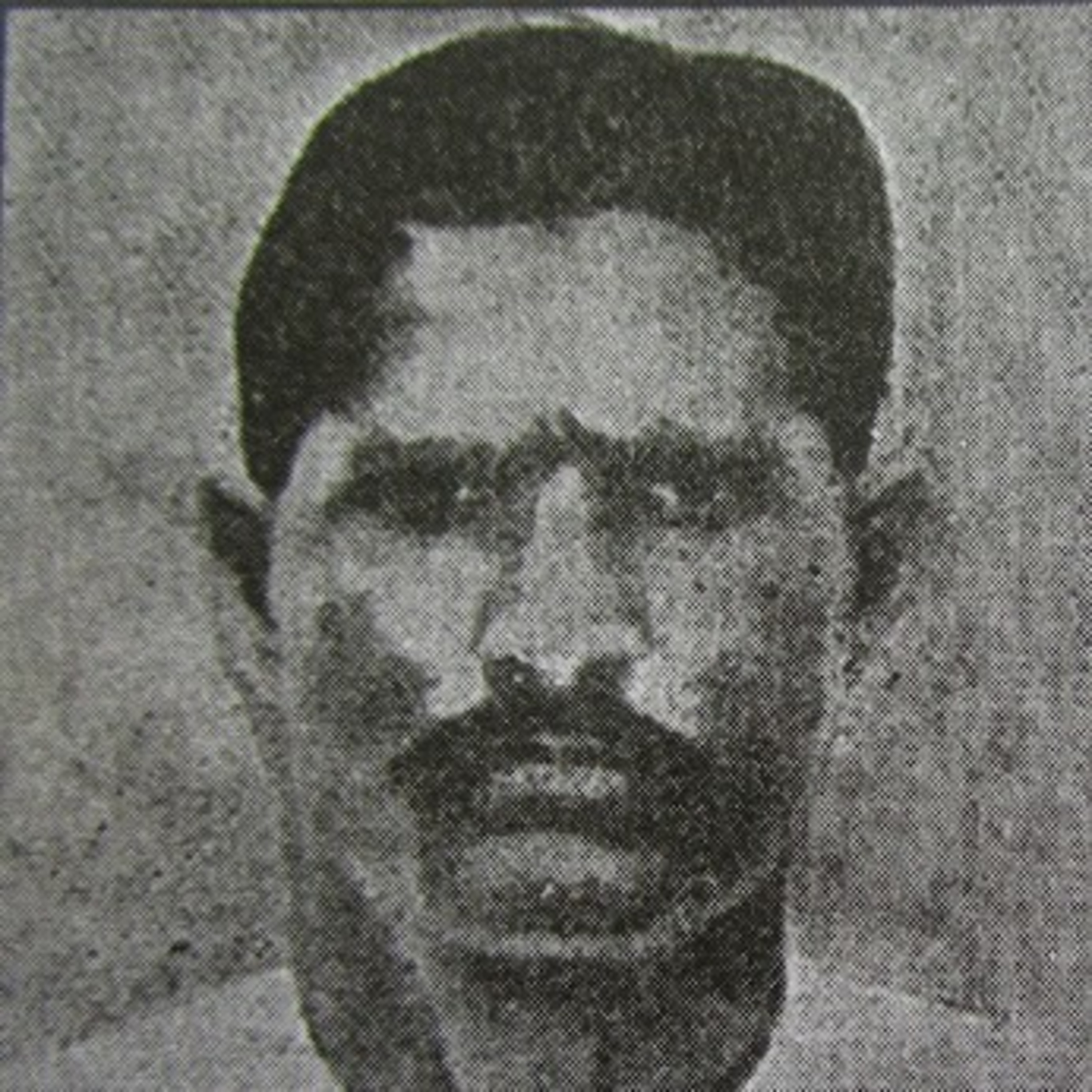 Freedom fighters Library