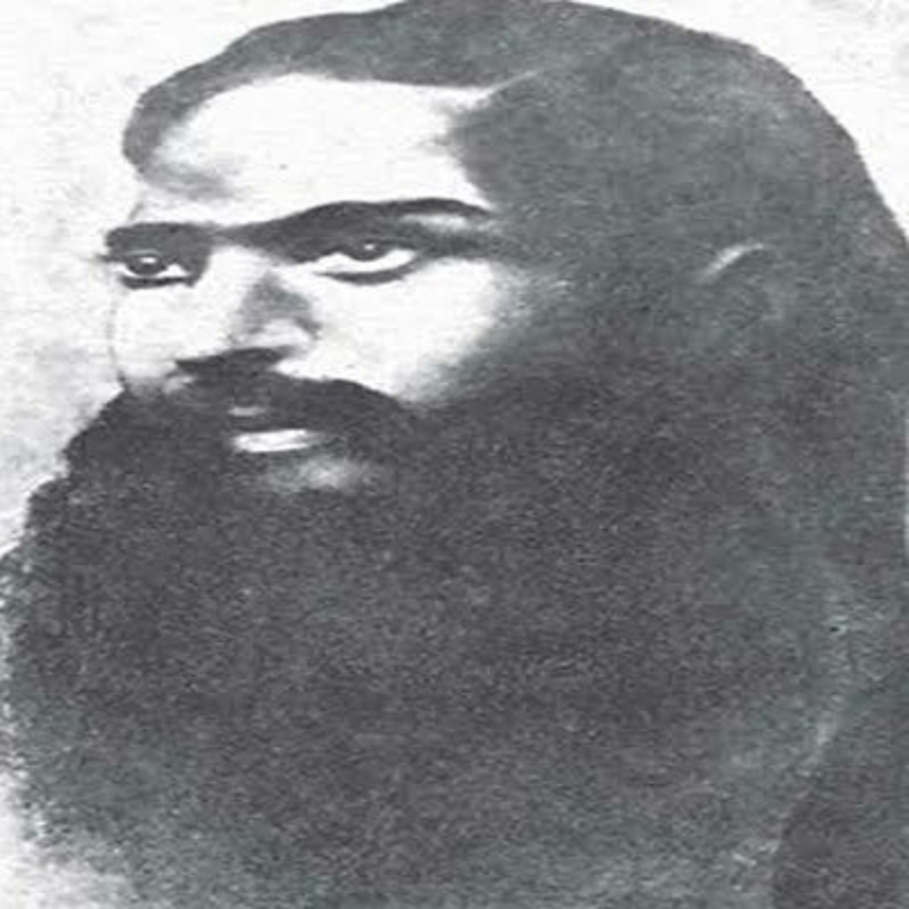 Freedom fighters Library