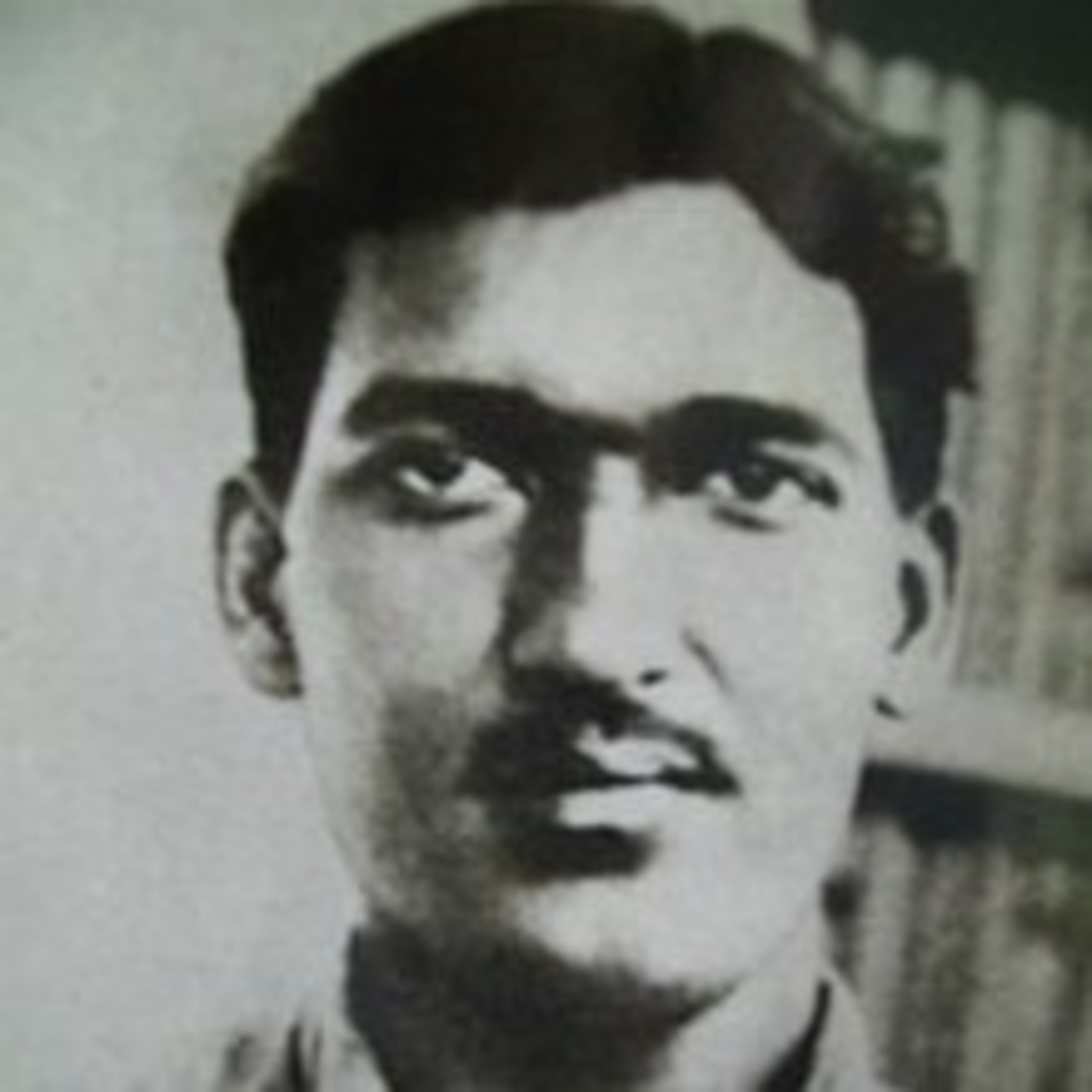 Freedom fighters Library