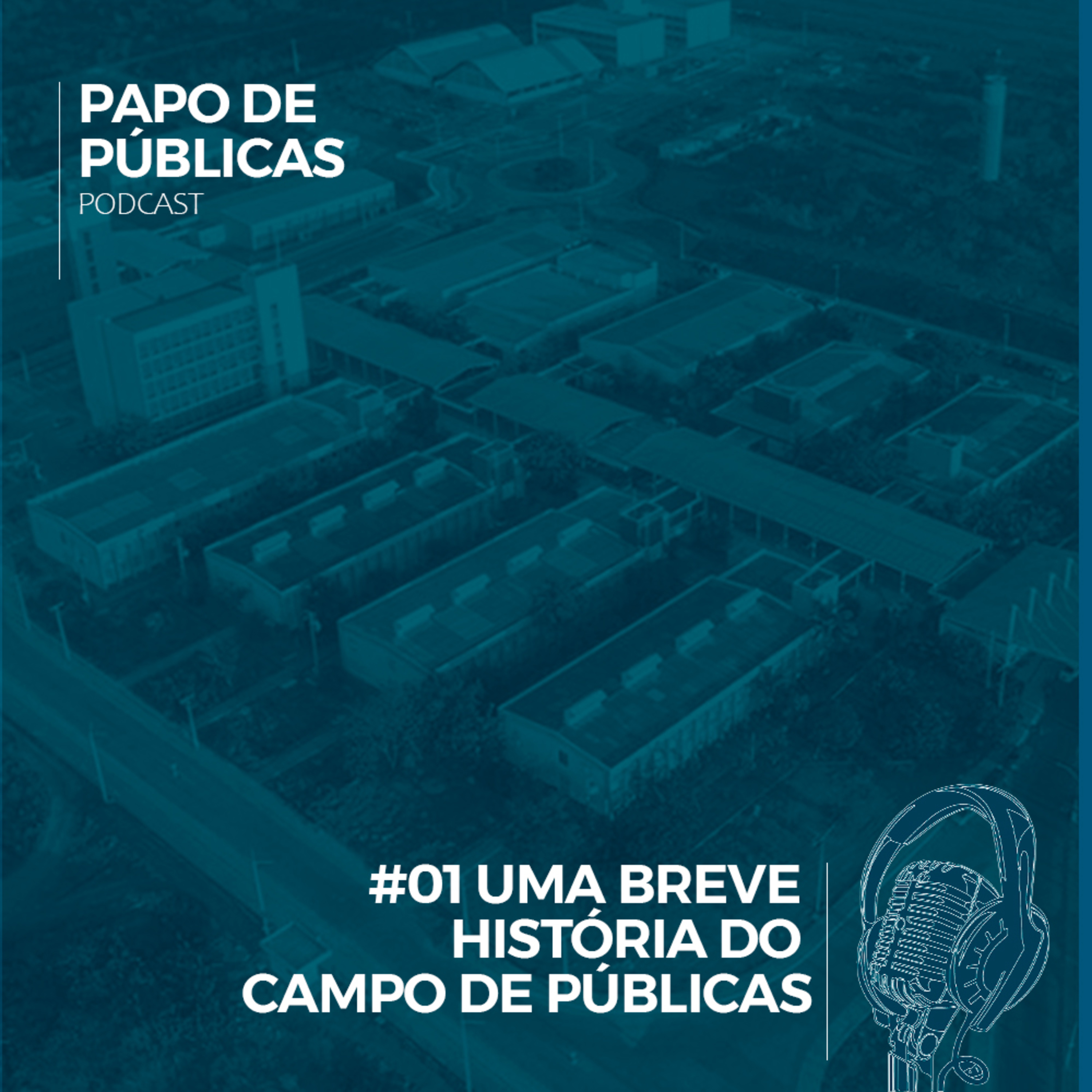 Papo de Públicas