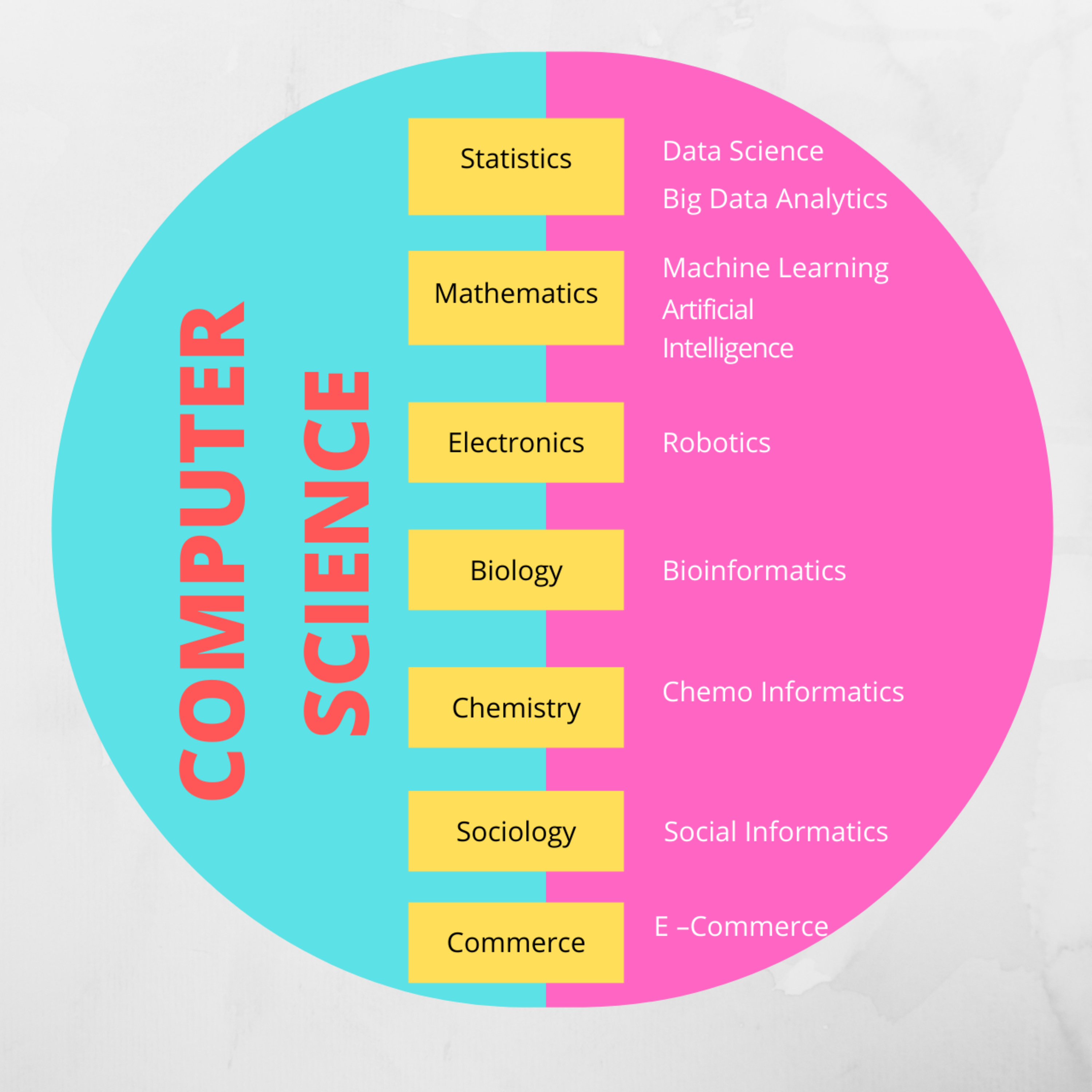 BSc Fifth Semester- Computer Networking Module 2