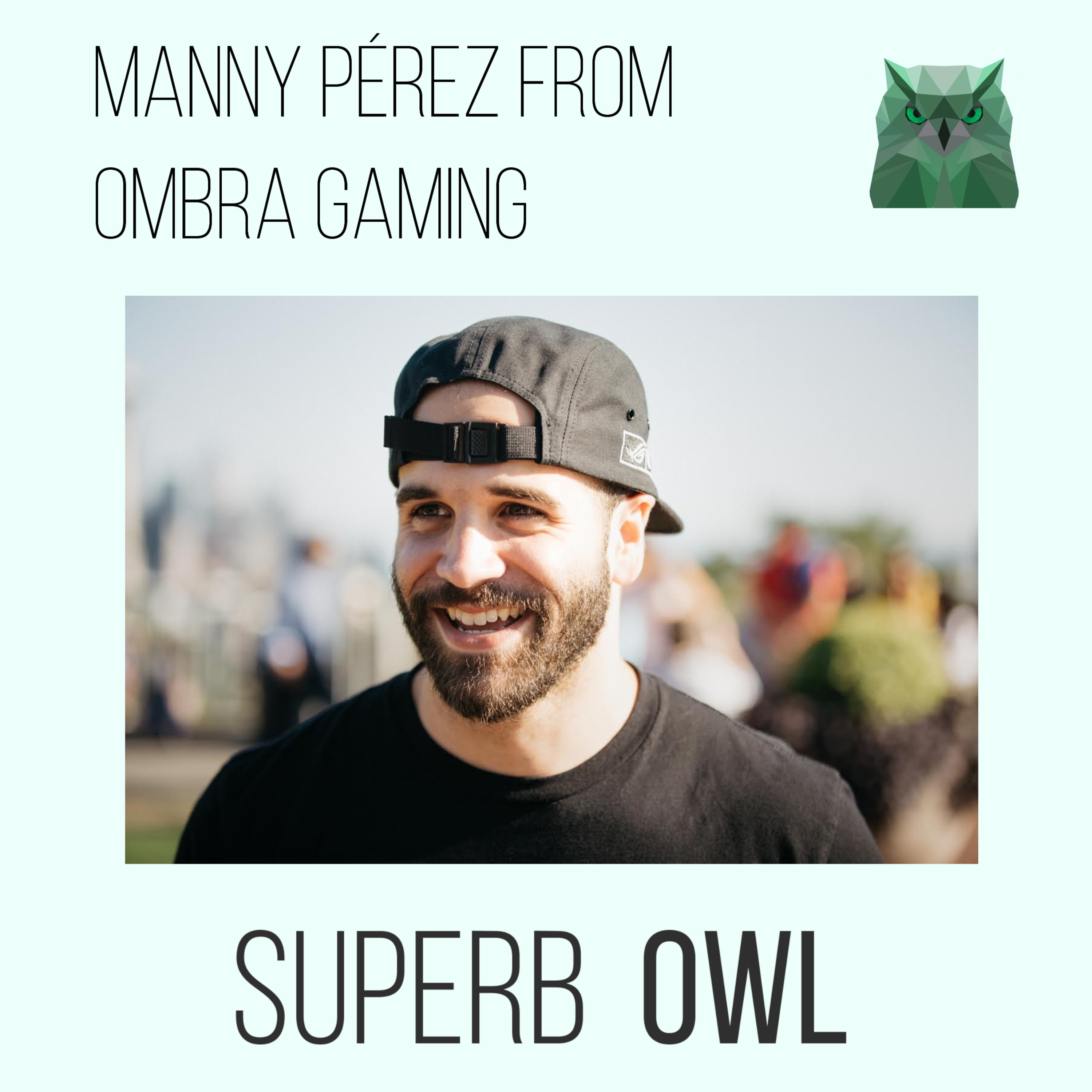 SUPERB OWL