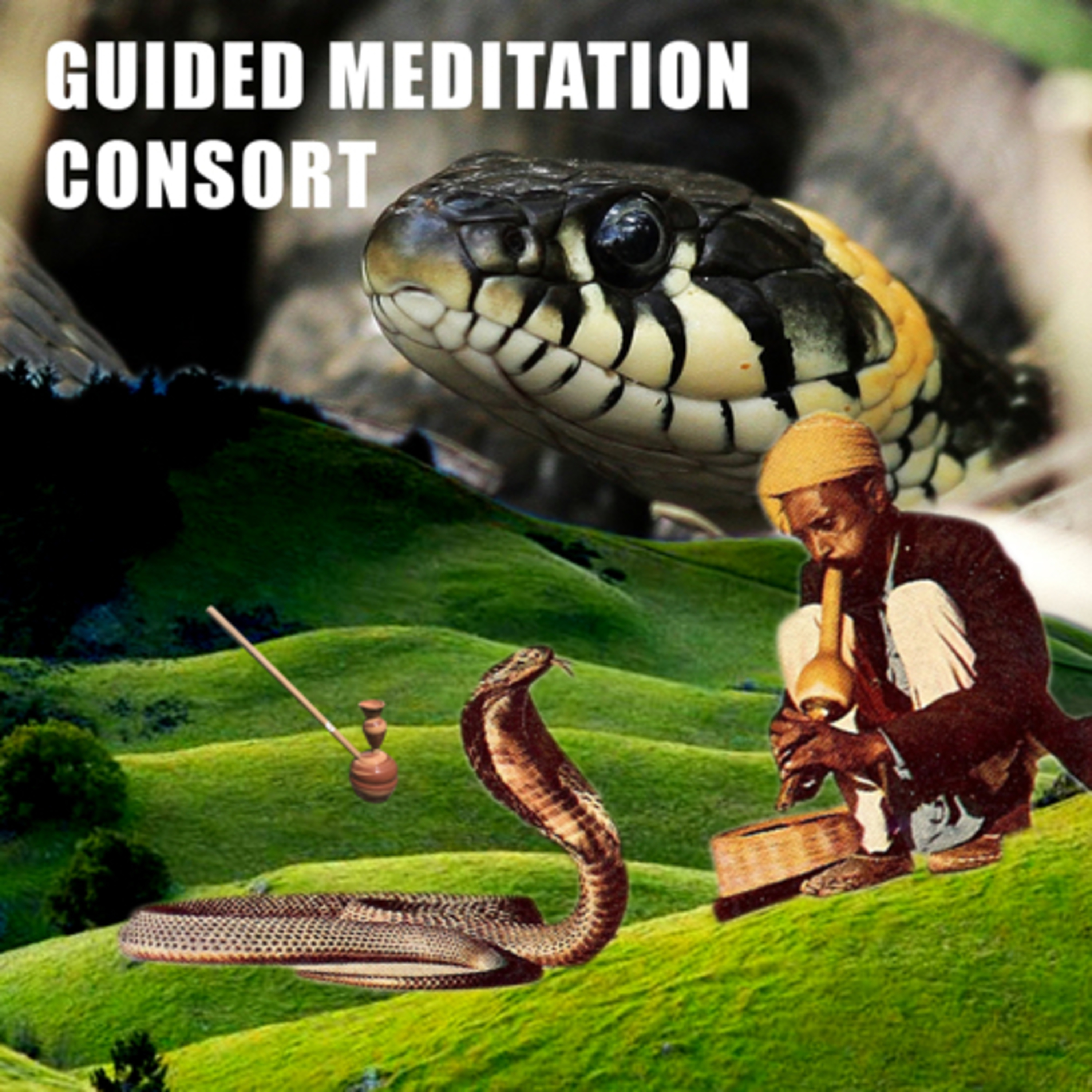 Guided Meditation- Consort episode artwork