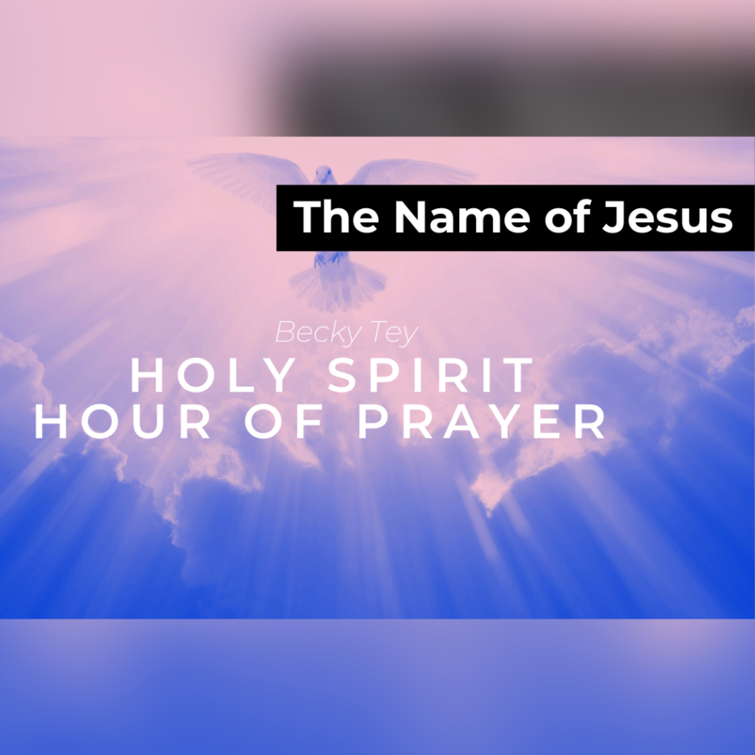 Holy Spirit Hour Of Prayer (The Name of Jesus) - Becky Tey episode artwork