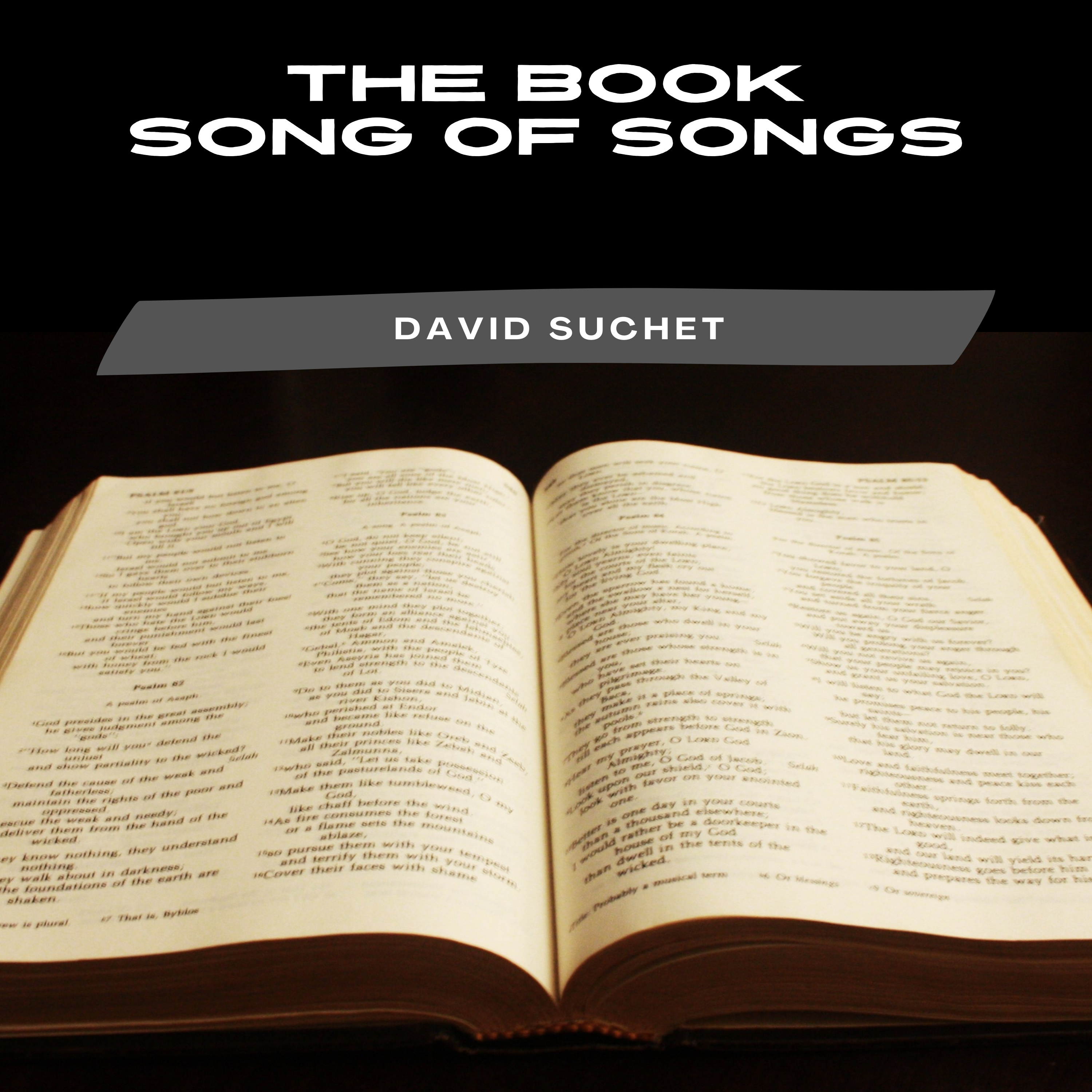 The Book Song of Songs  episode artwork