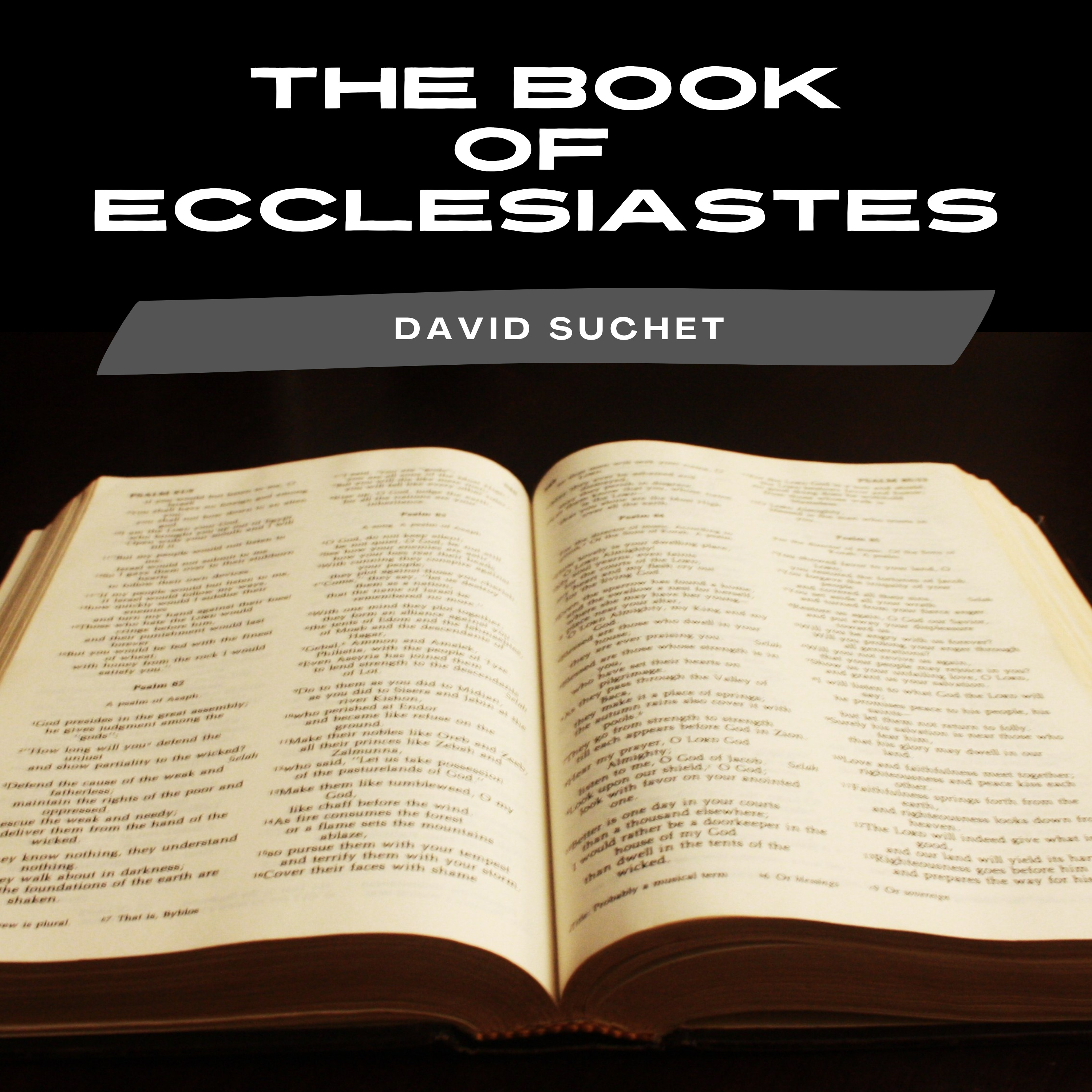 The Book of Ecclesiastes  episode artwork