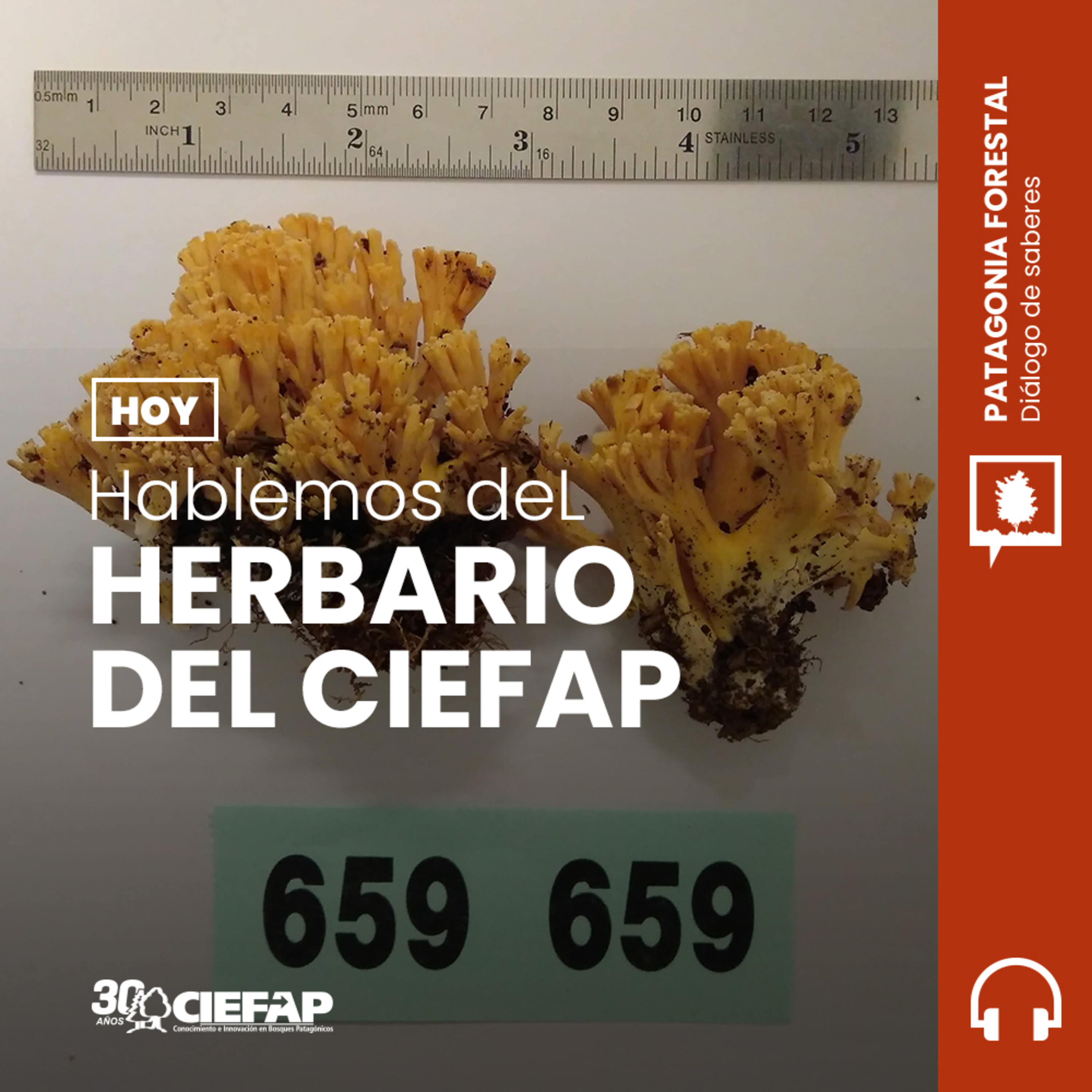 Patagonia Forestal - Diálogo de Saberes