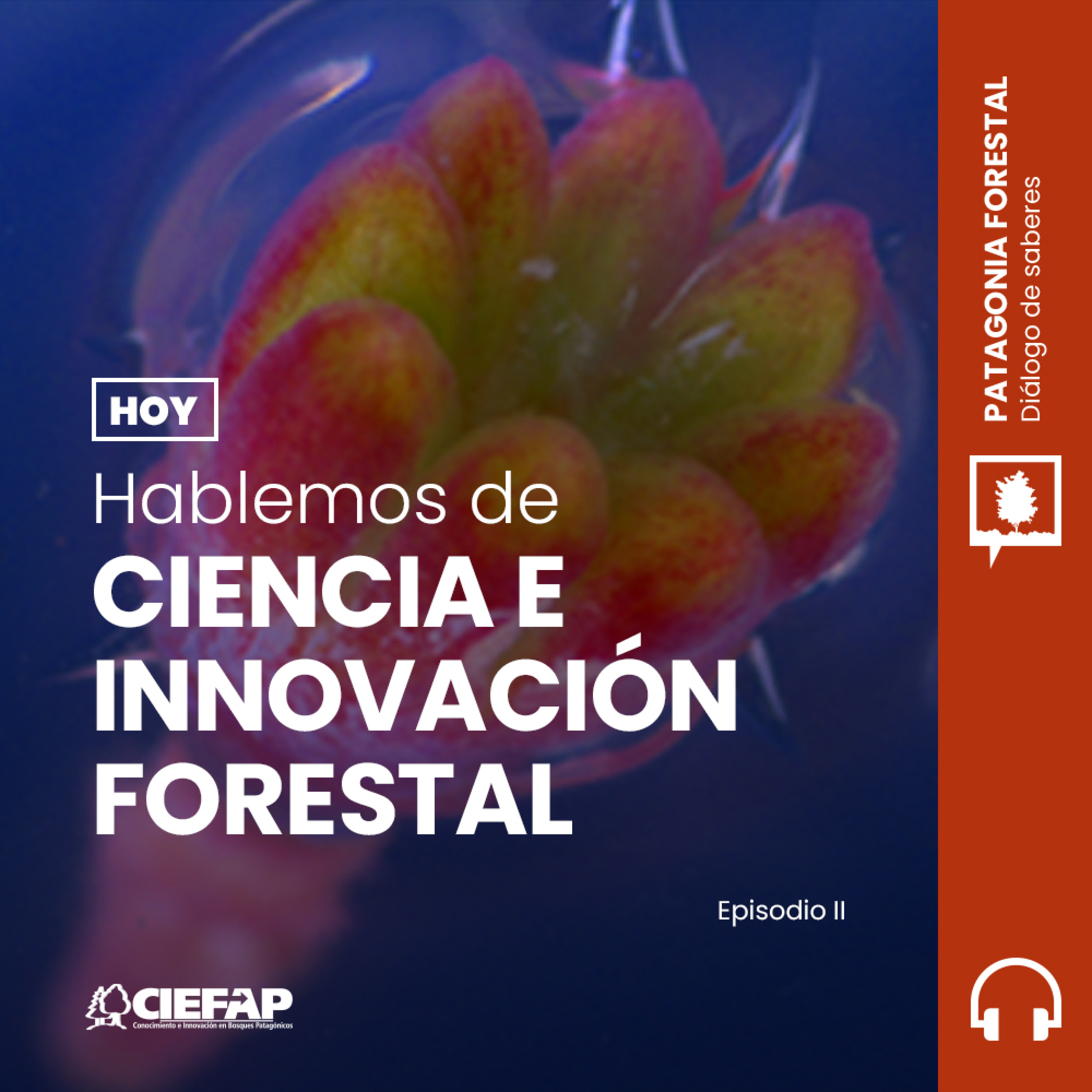 Patagonia Forestal - Diálogo de Saberes