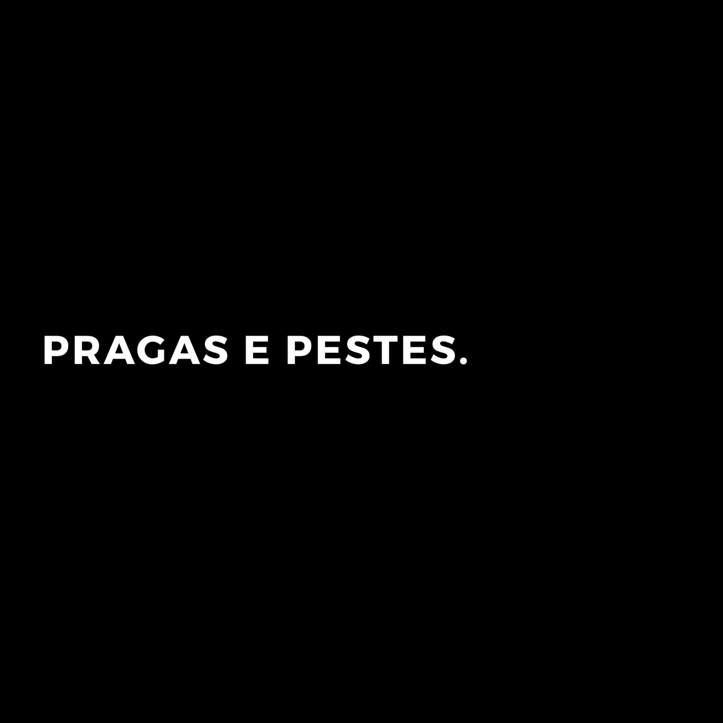 Vinicius Maia